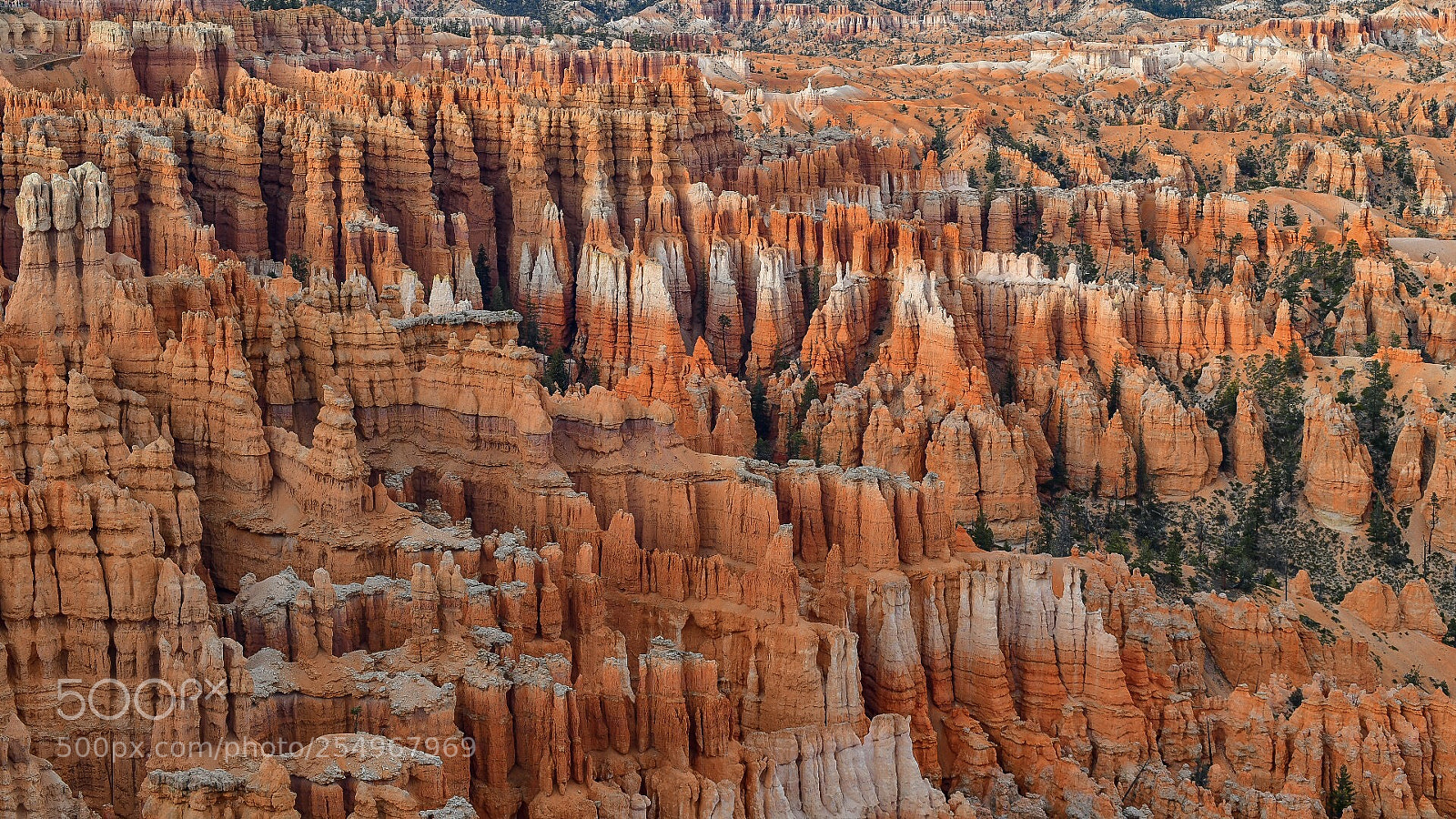 Nikon D850 sample photo. Bryce canyon photography