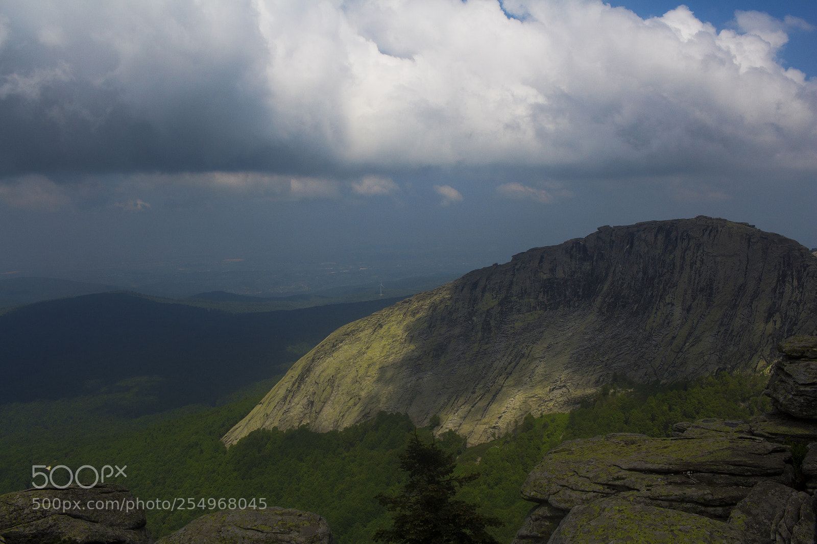 Canon EOS 700D (EOS Rebel T5i / EOS Kiss X7i) sample photo. Mountain woods photography