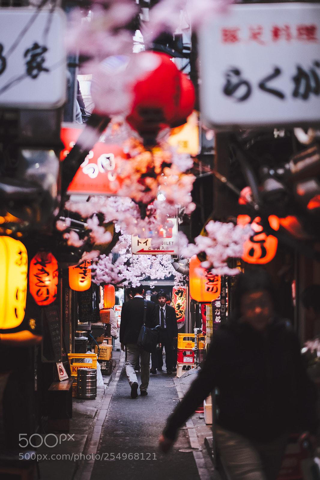 Fujifilm X-T2 sample photo. Round we go again photography