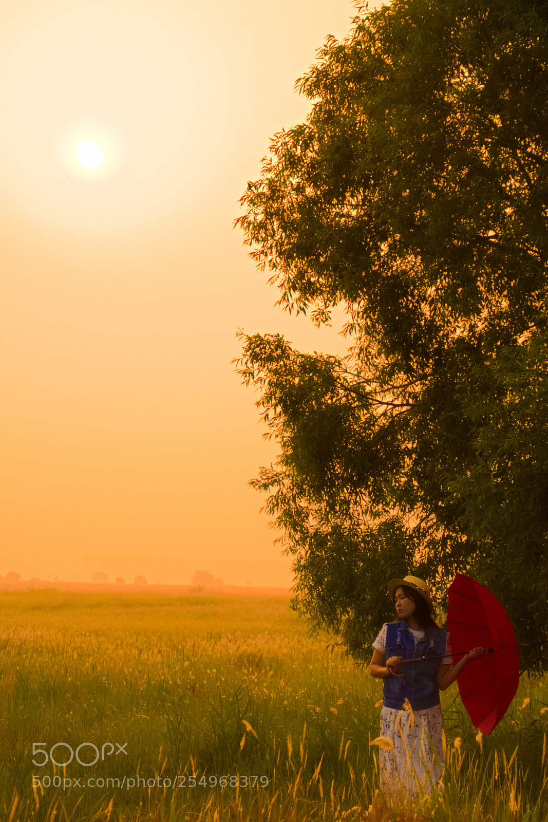 Nikon D5500 sample photo. A girl with a photography