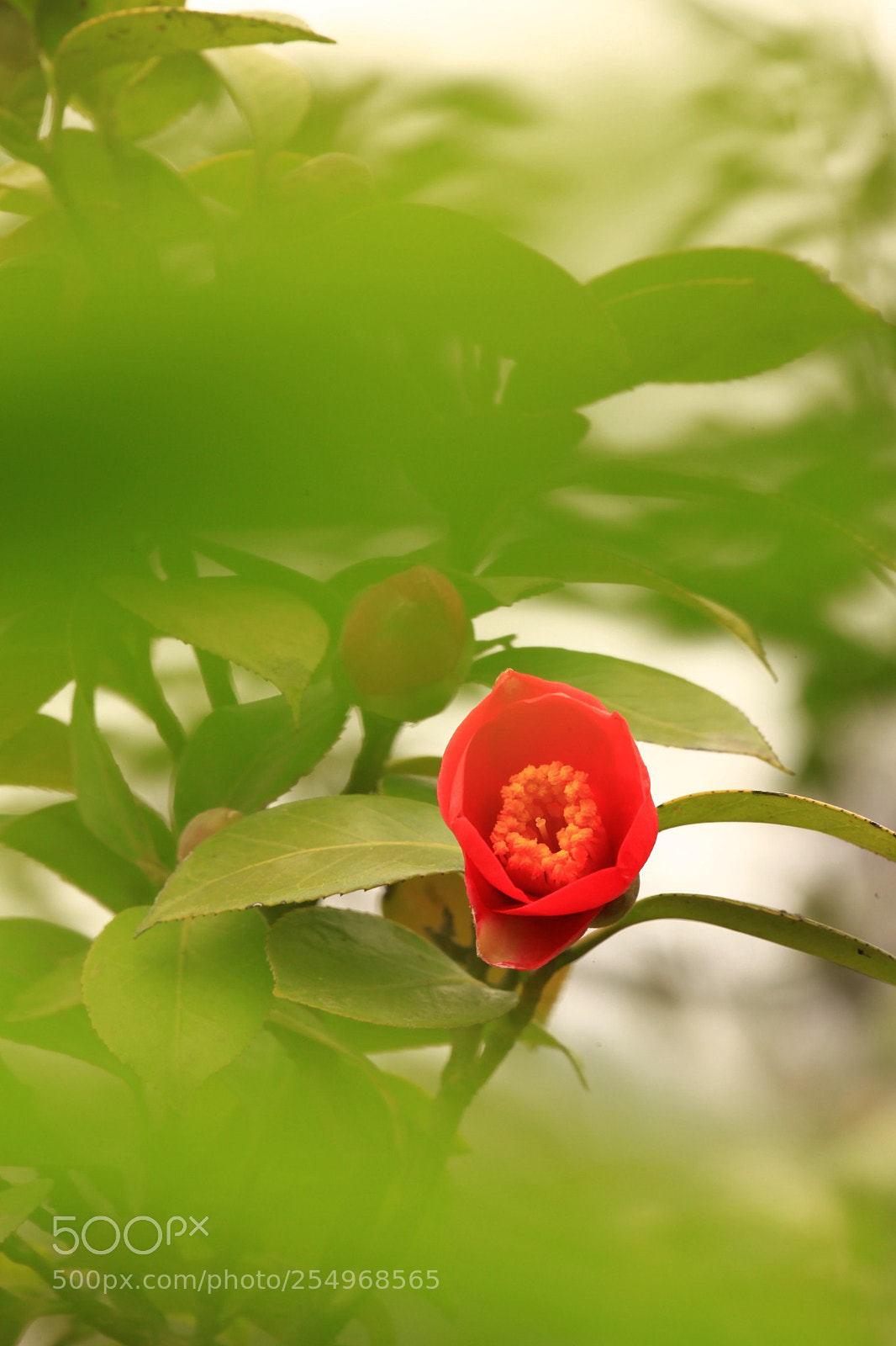 Canon EOS 5D Mark II sample photo. 副本 photography