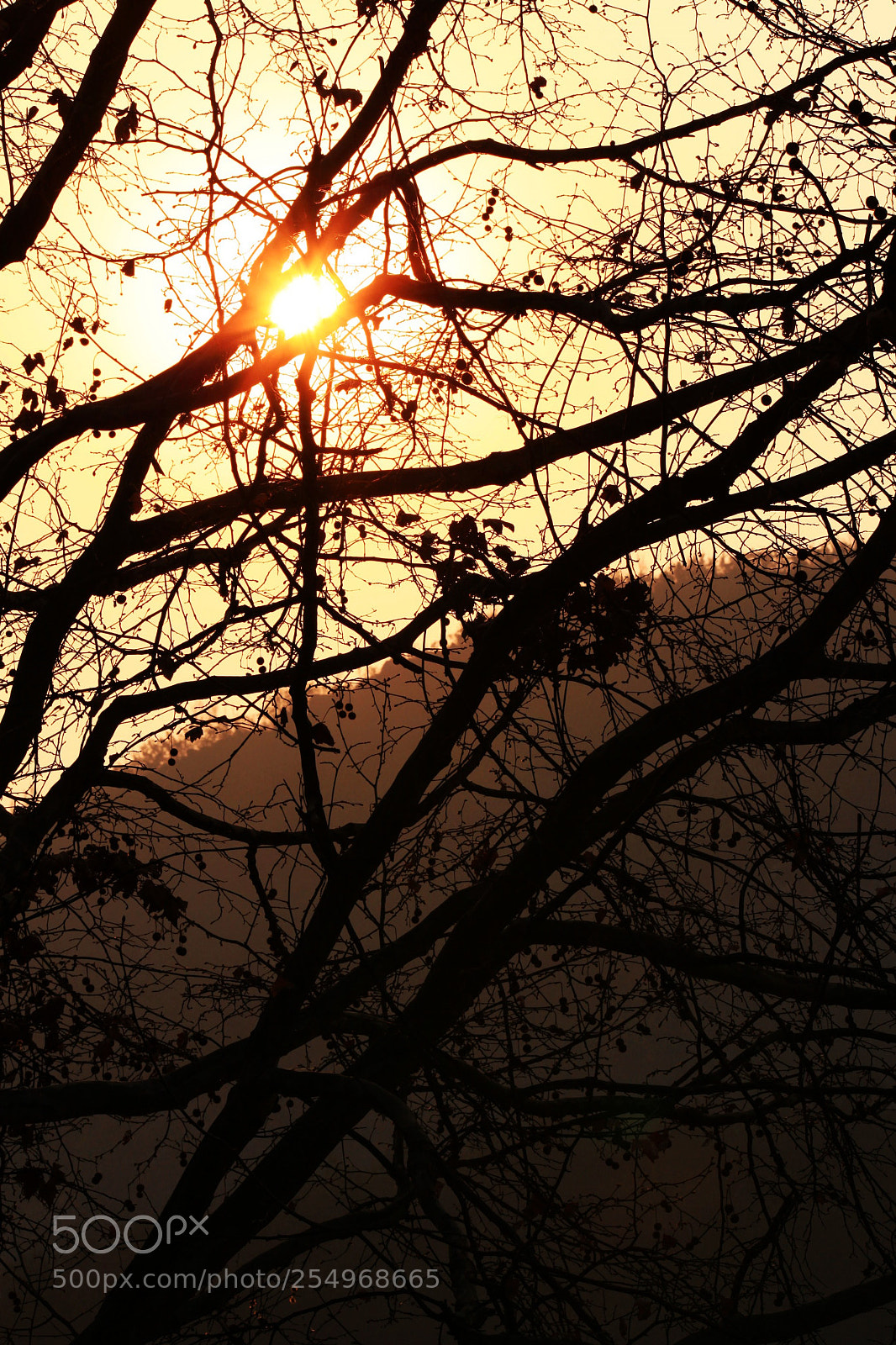 Canon EOS 5D Mark II sample photo. 副本 photography
