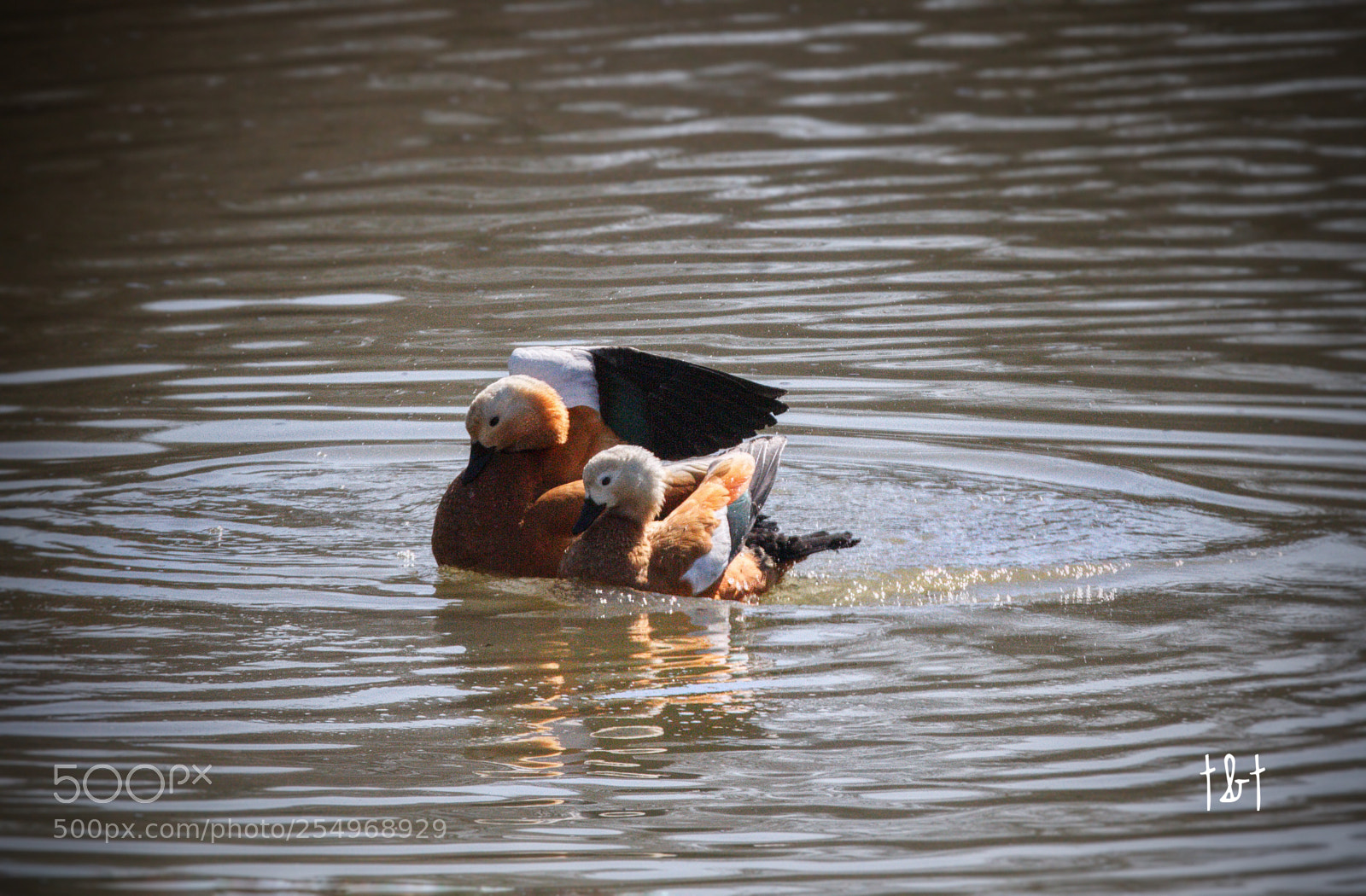 Canon EOS 7D sample photo. Untitled photography