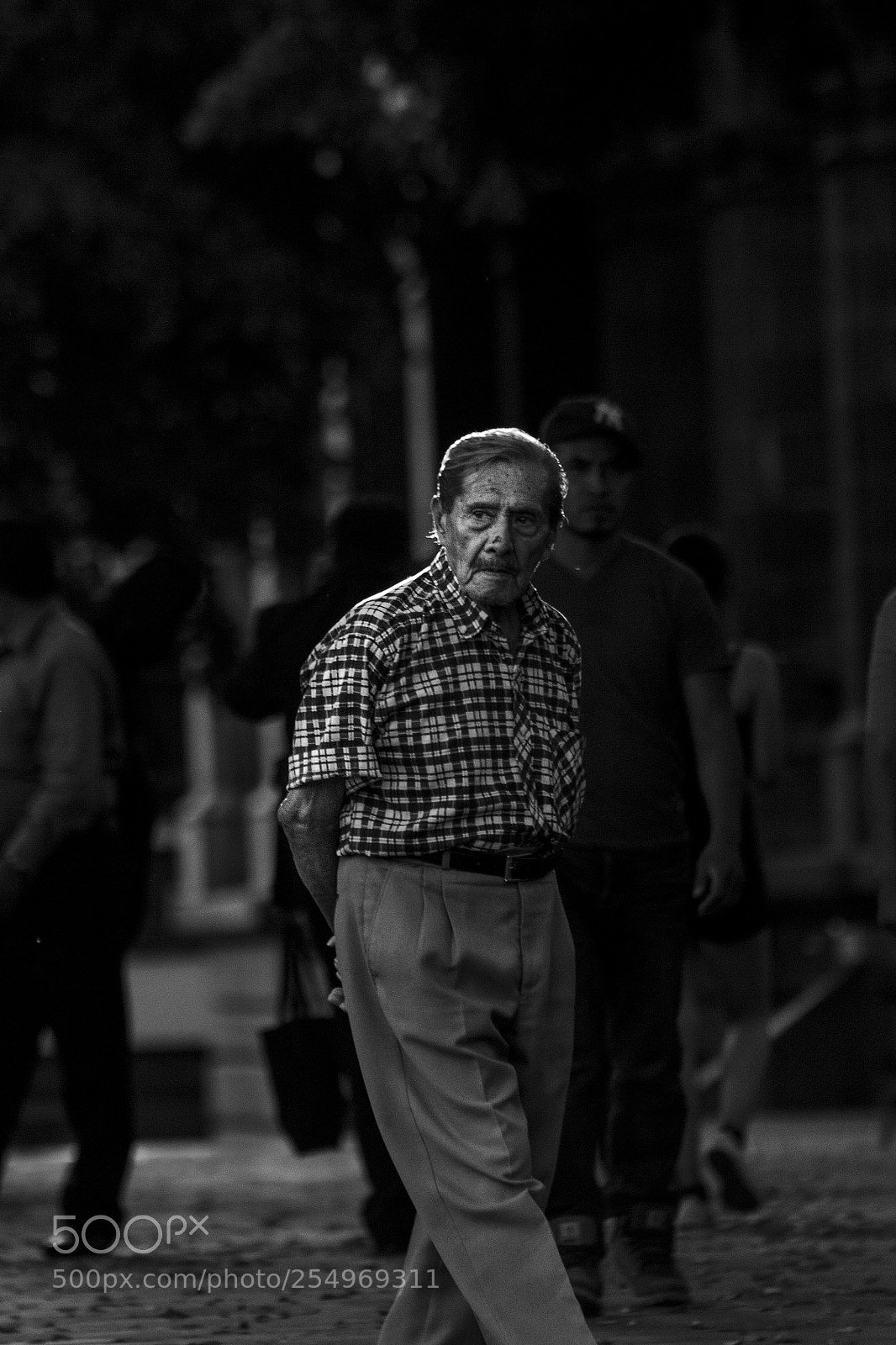 Canon EOS 600D (Rebel EOS T3i / EOS Kiss X5) sample photo. Oldman photography