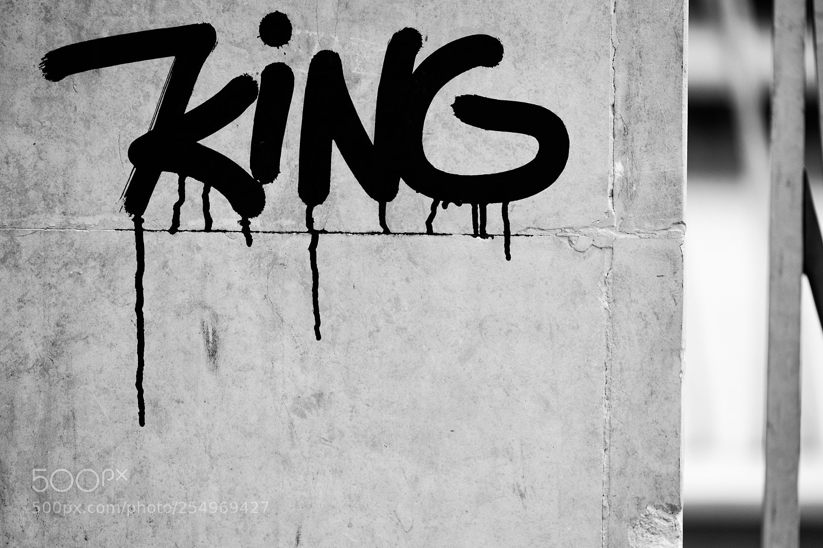Fujifilm X-T2 sample photo. King photography