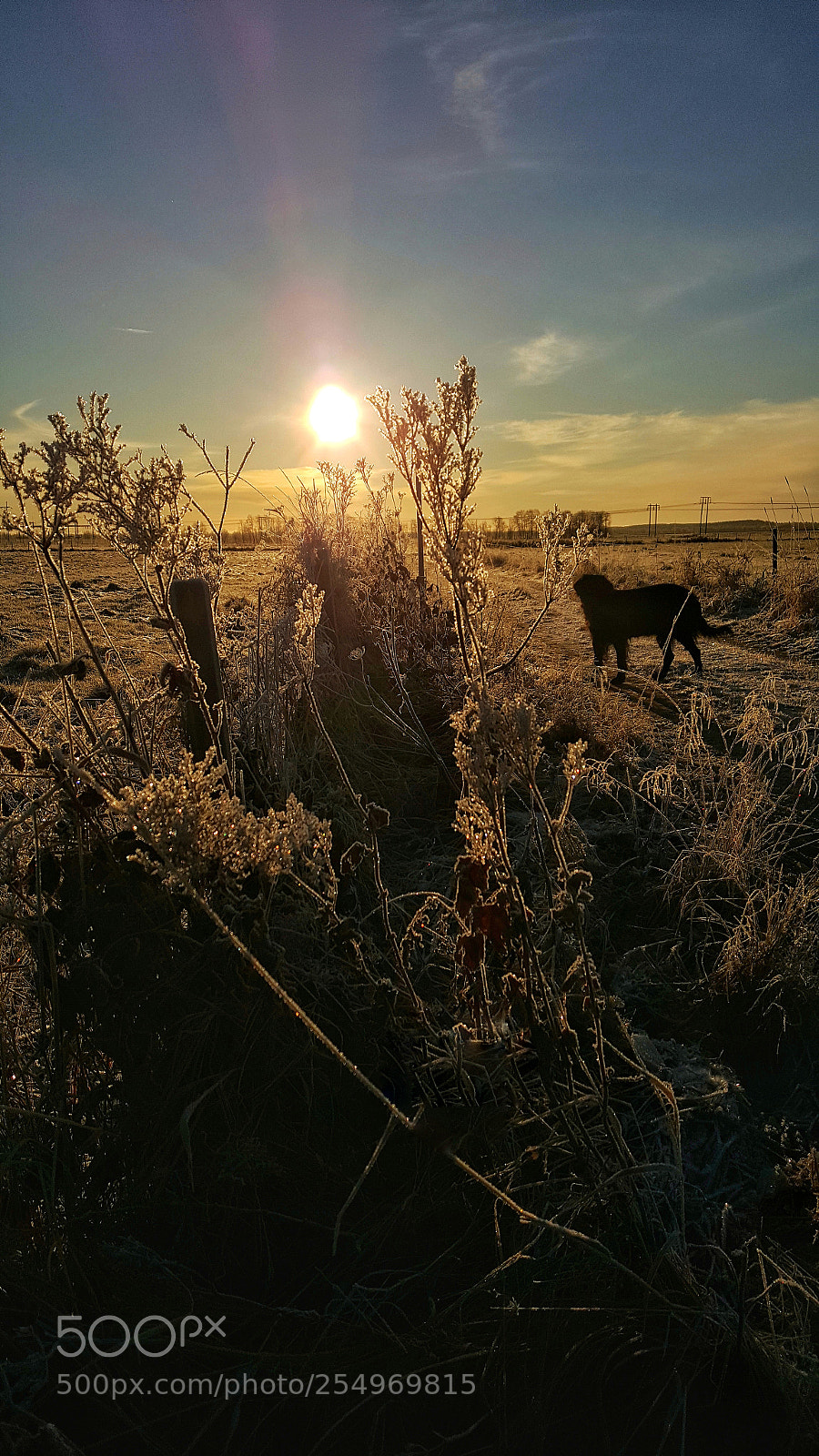 Samsung Galaxy S6 sample photo. Beautiful day photography