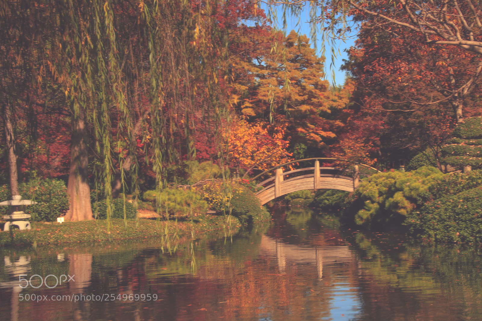 Canon EOS 7D Mark II sample photo. Serenity photography