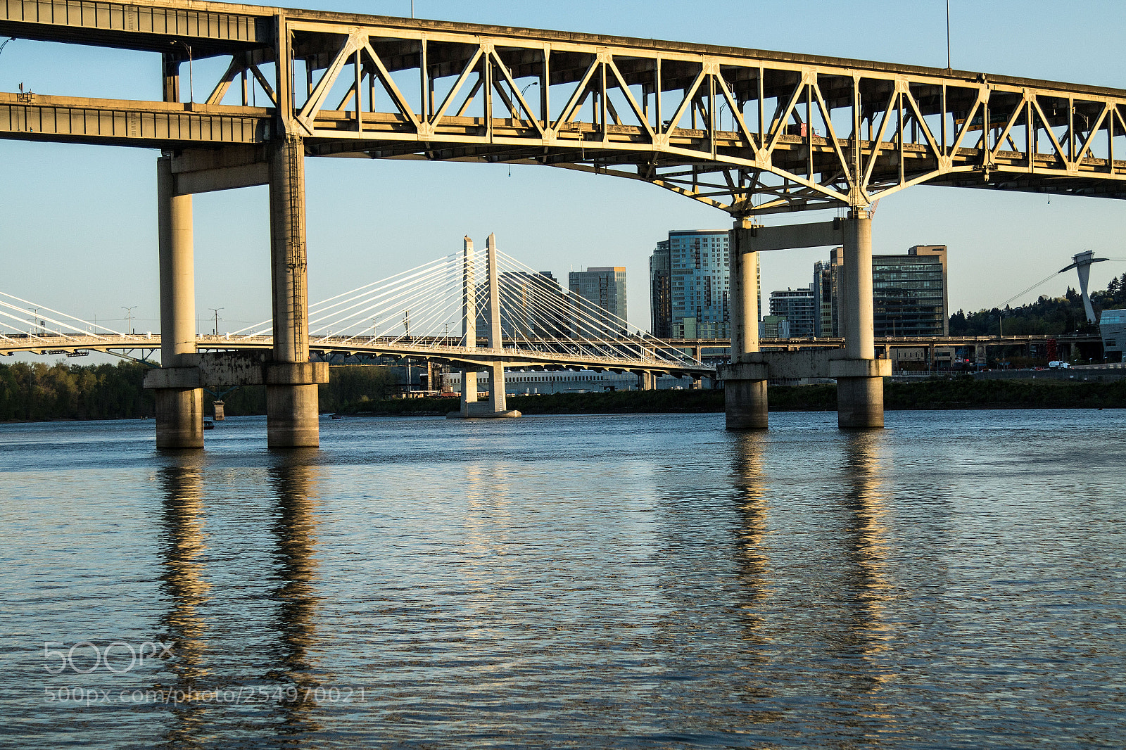 Canon EOS 7D Mark II sample photo. Golden light photography