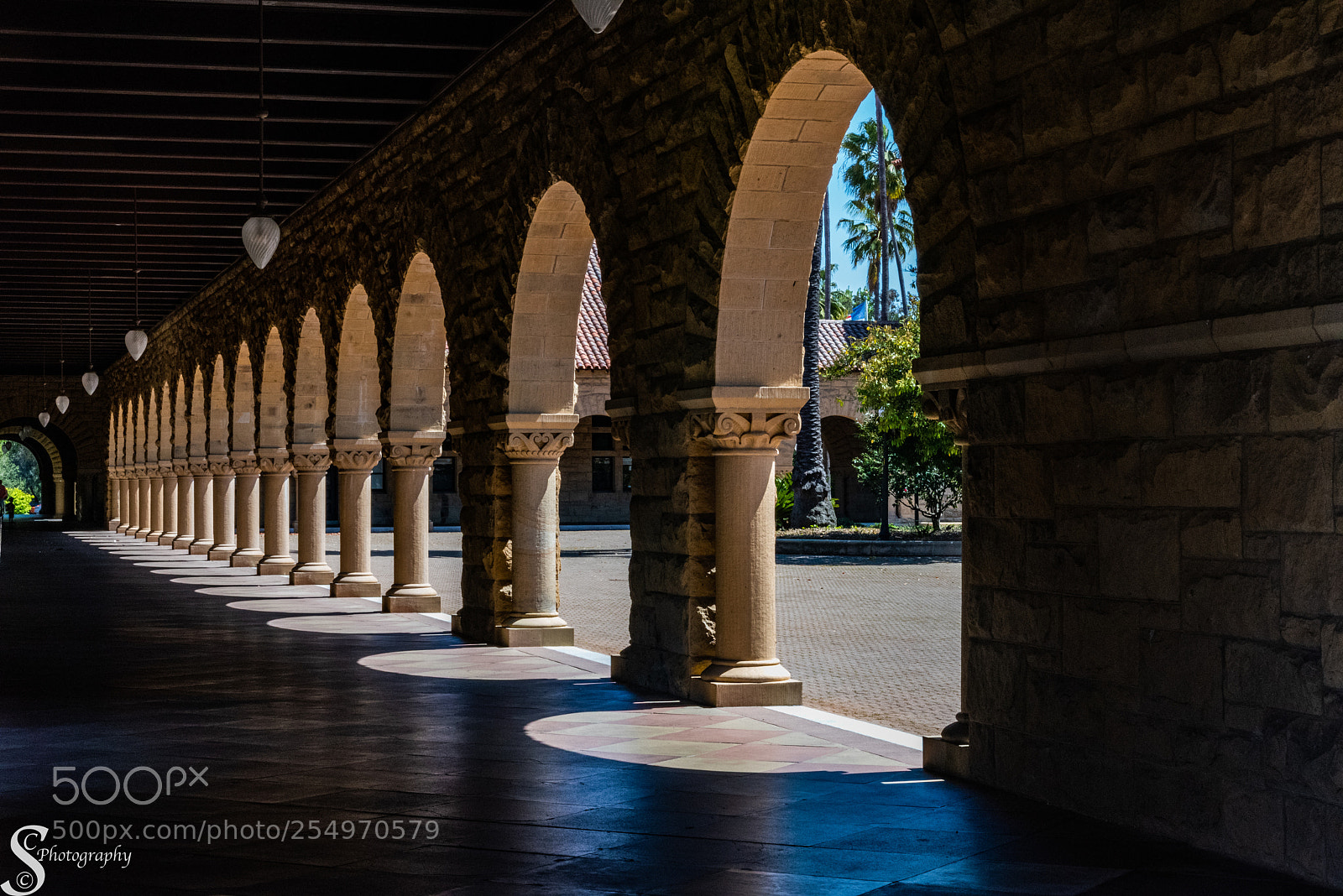 Nikon D810 sample photo. Infinite columns photography