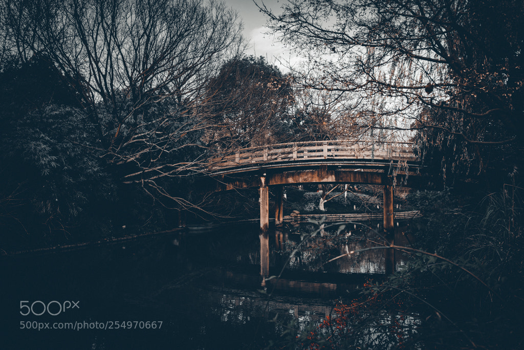 Nikon D600 sample photo. Foot bridge photography