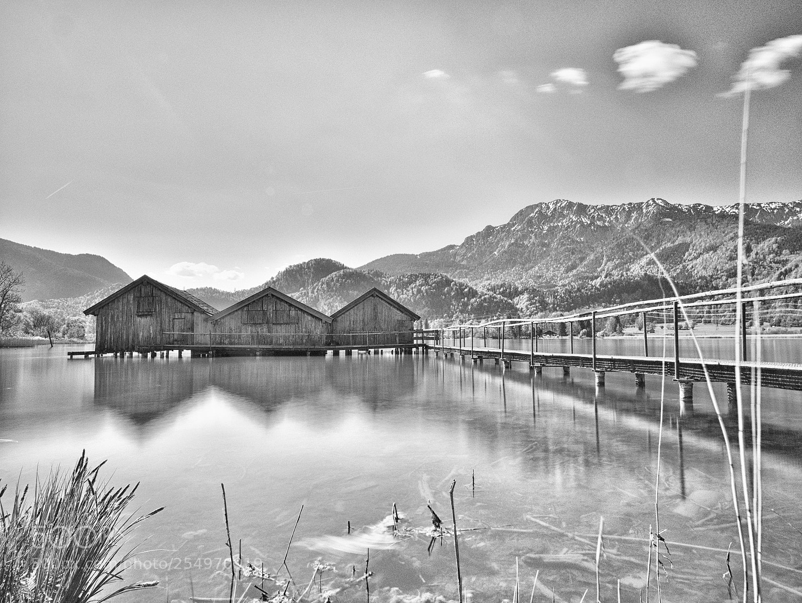Panasonic DMC-G81 sample photo. A sunny day bw photography