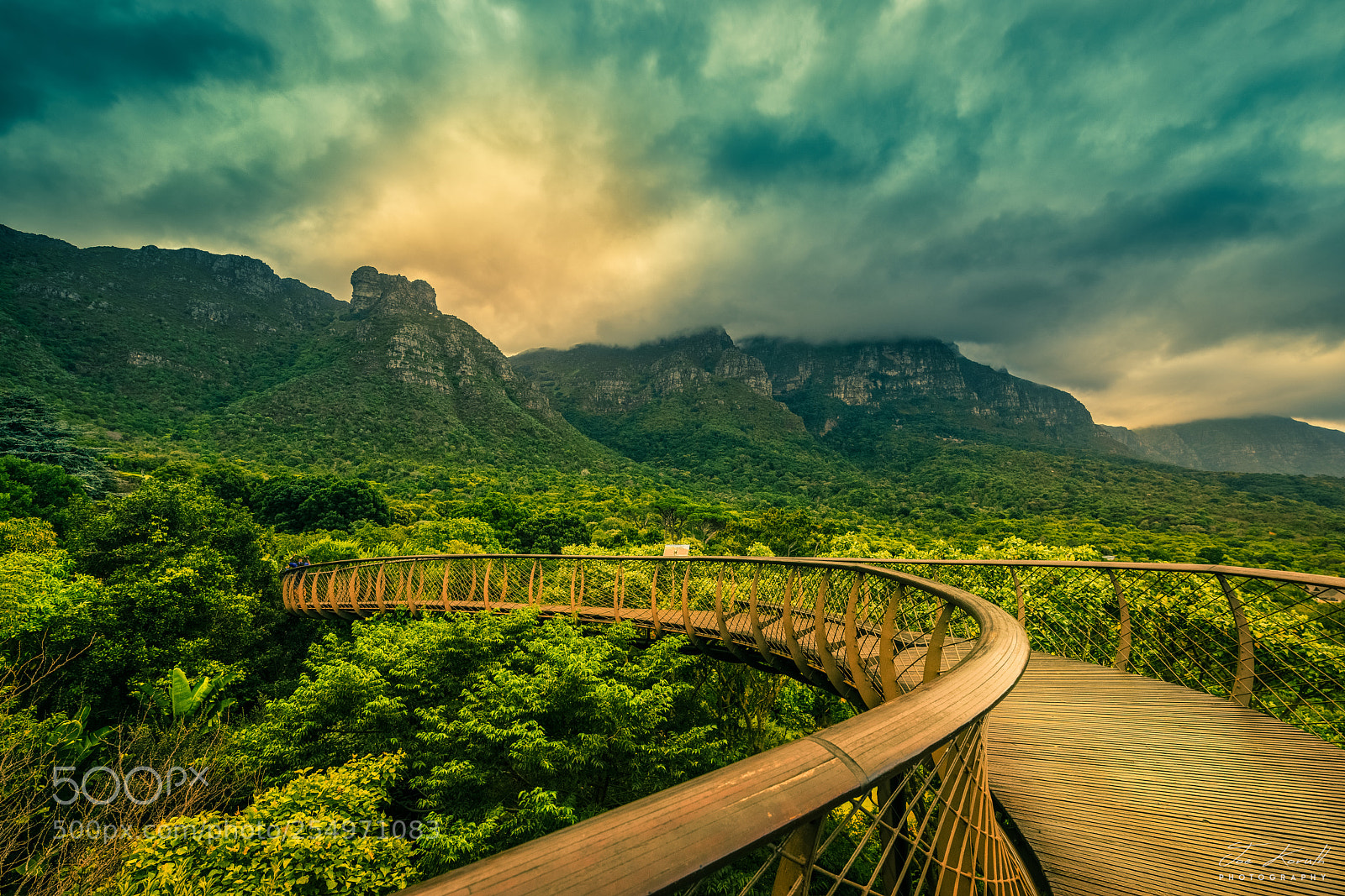 Nikon D800 sample photo. Pathway to magical kingdom photography