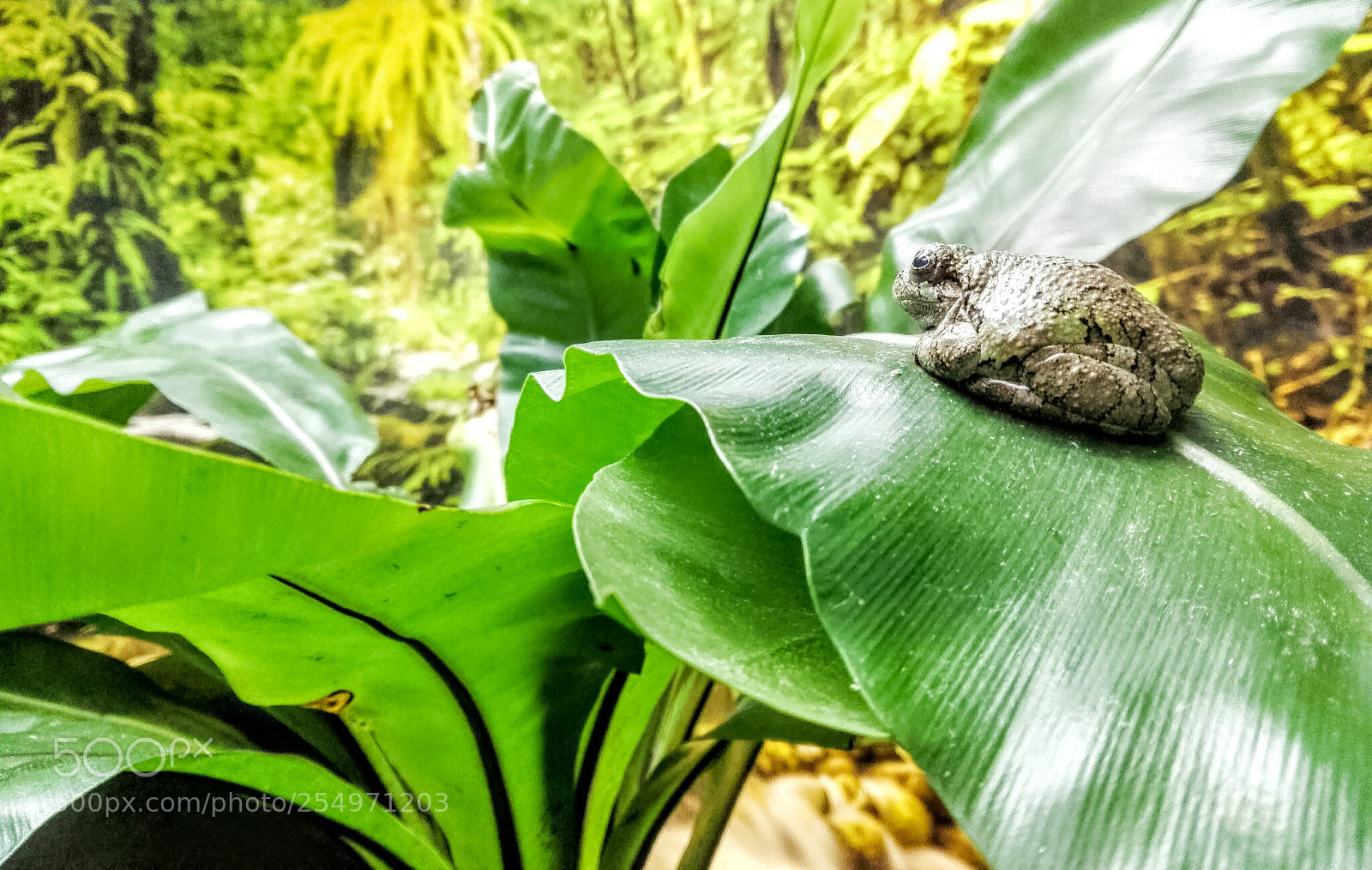 HUAWEI P8 Lite sample photo. Untitled photography