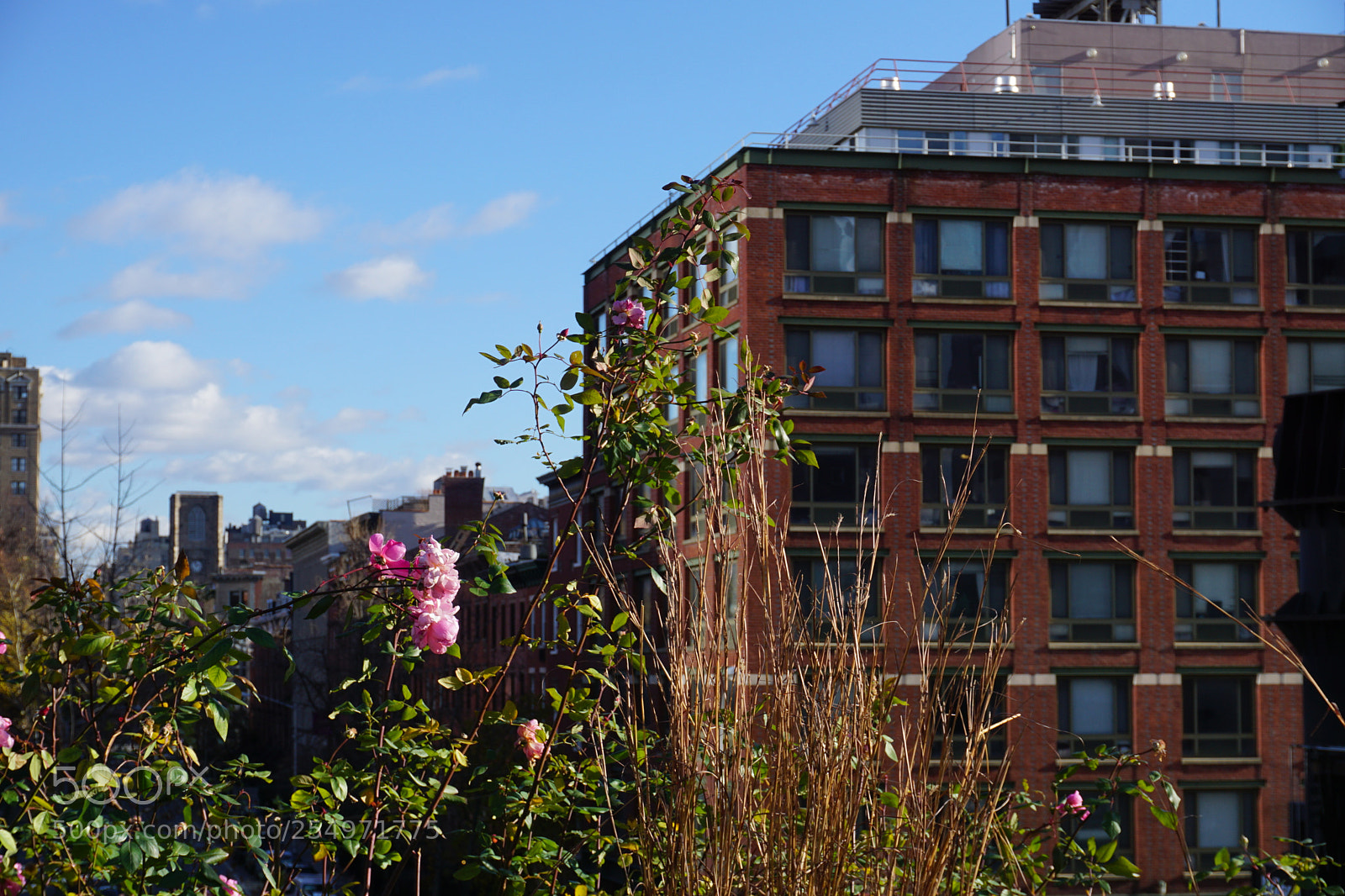 Sony a6000 sample photo. New york photography