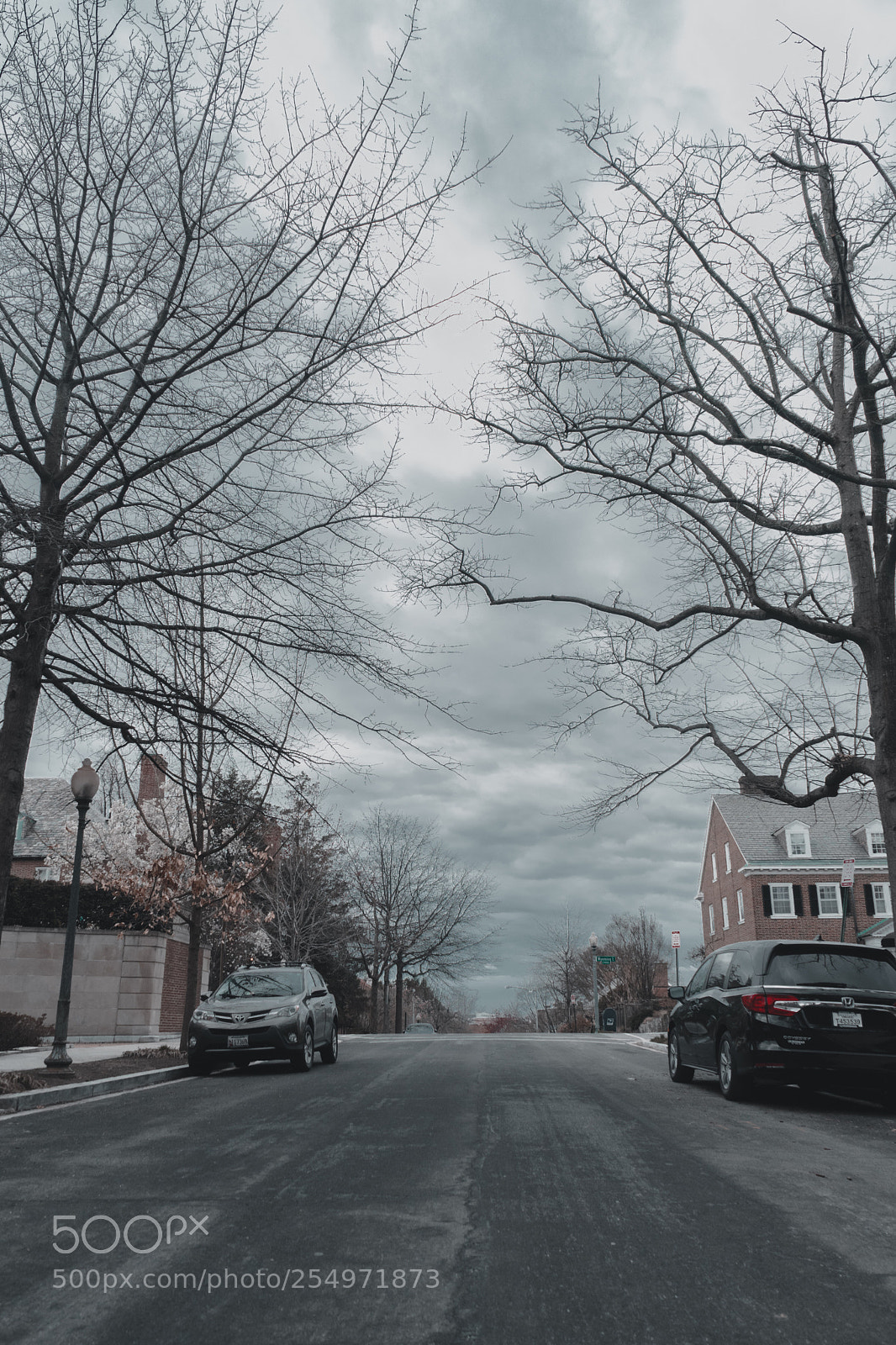Sony a7 sample photo. Untitled photography