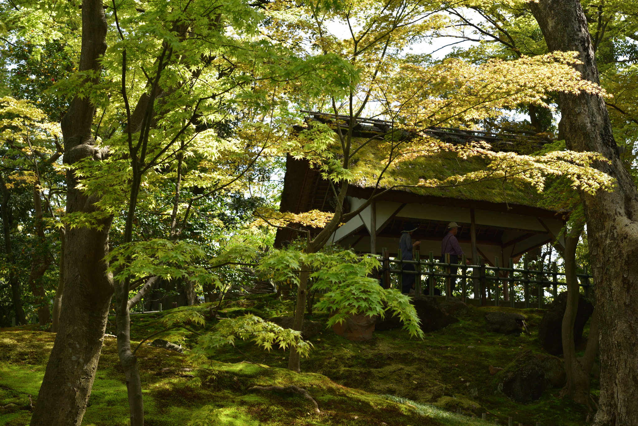 Nikon AF-S Micro-Nikkor 60mm F2.8G ED sample photo. 新緑の山崎山 兼六園 photography