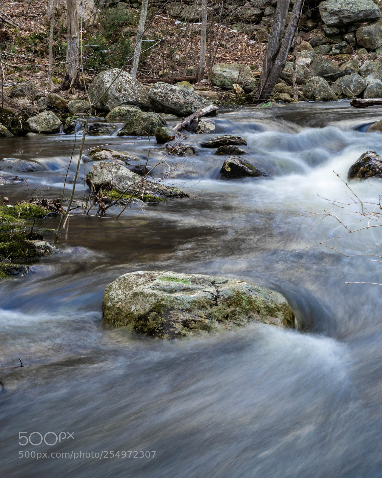 Nikon D5500 sample photo. Flowing stream photography