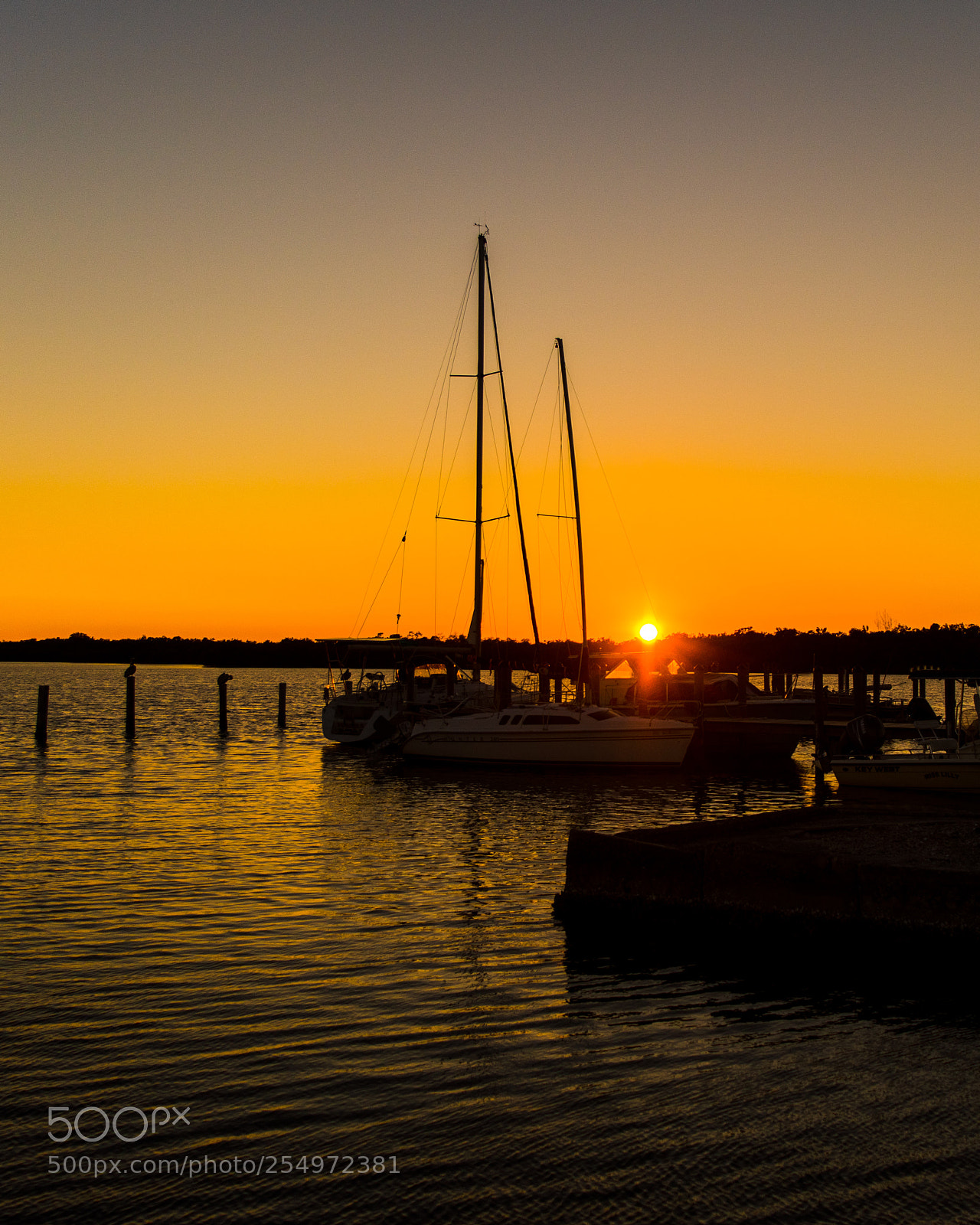 Nikon D5500 sample photo. Sunset over the docks photography