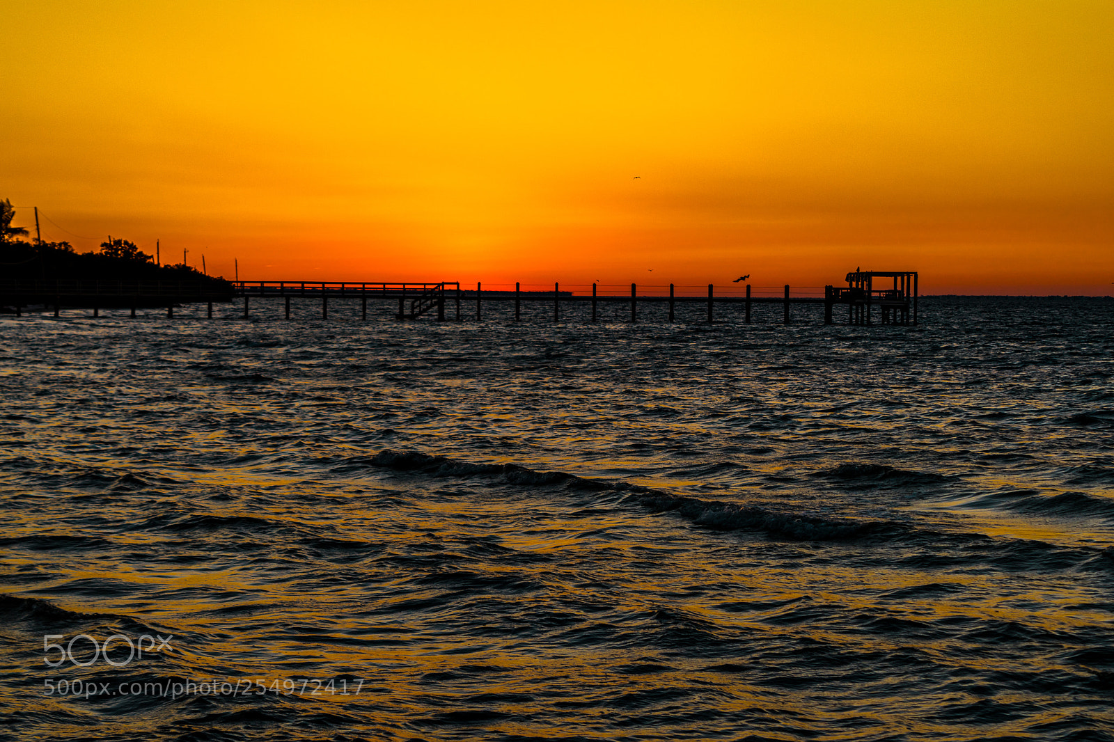 Nikon D5500 sample photo. Sunset over the ocean photography