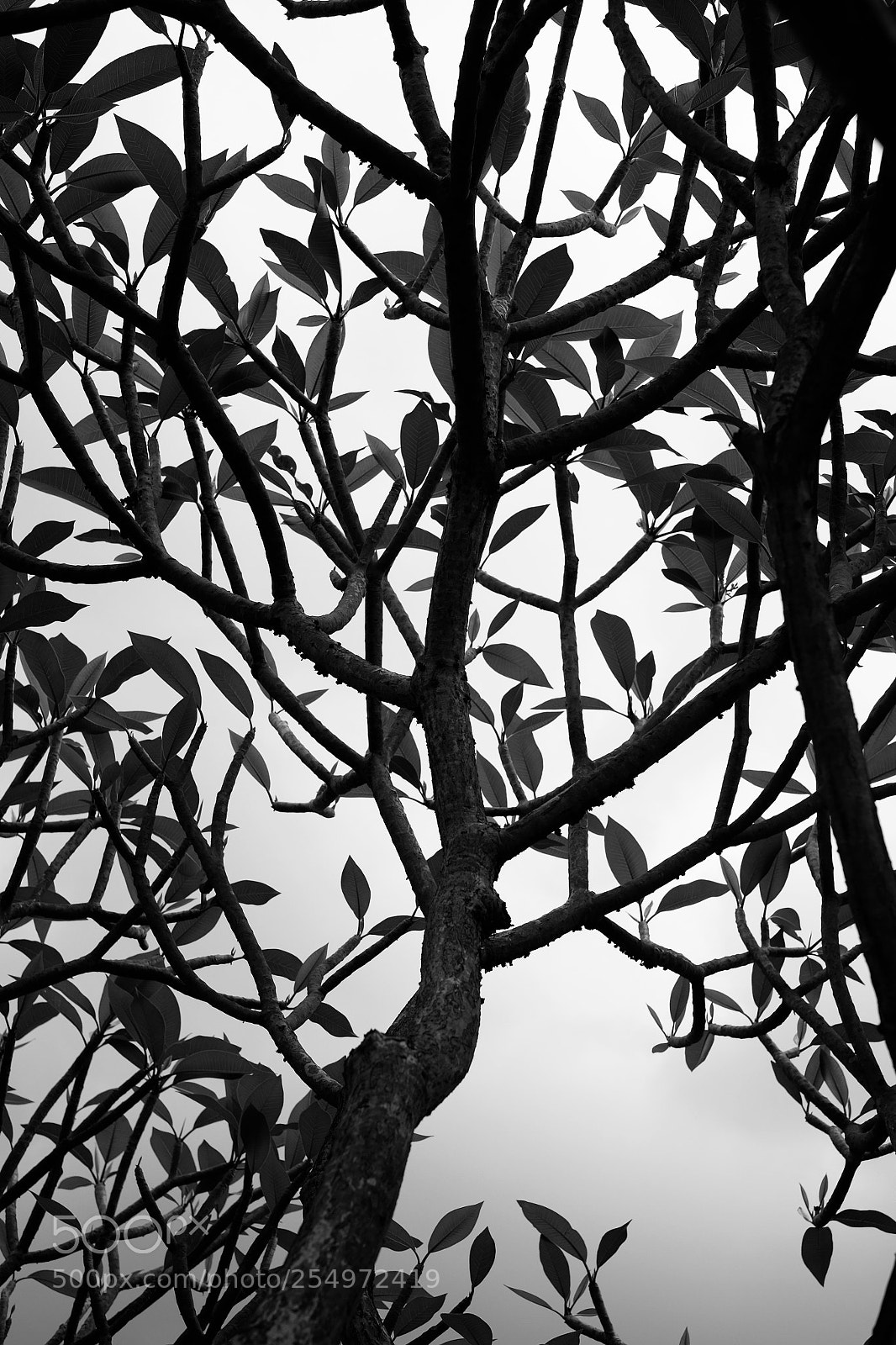 Fujifilm X-T1 sample photo. Untitled photography