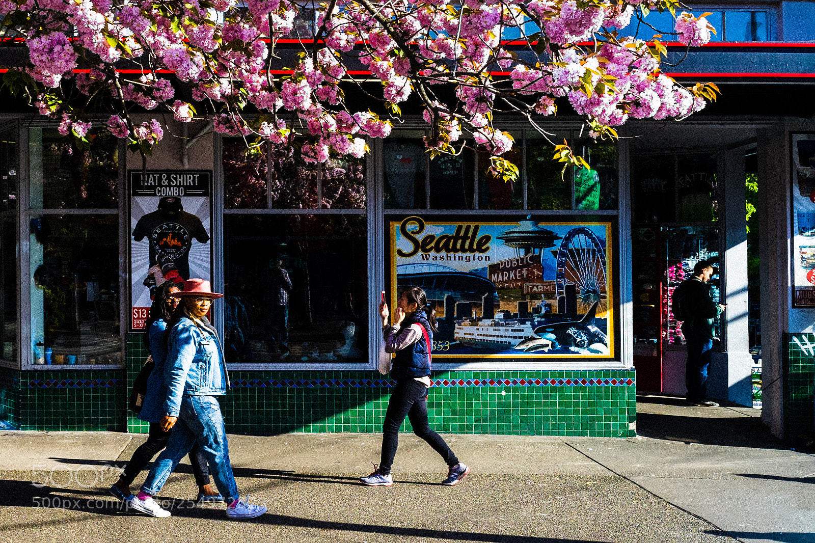 Sony a7 II sample photo. In bloom photography