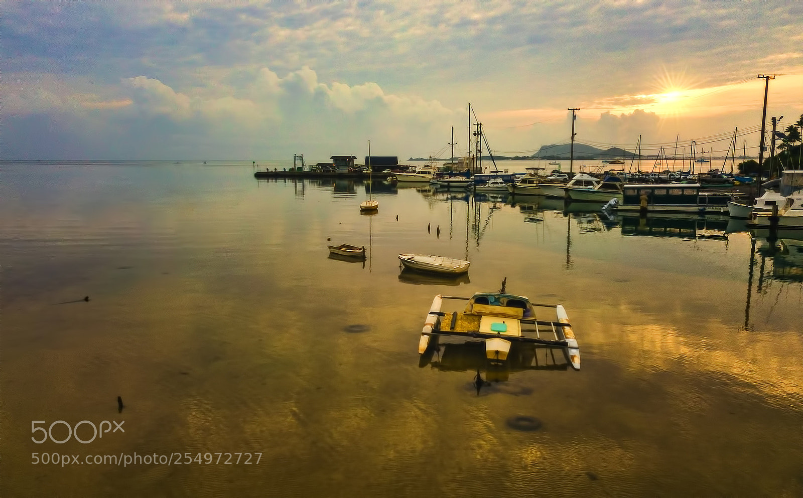DJI FC220 sample photo. Gilded photography