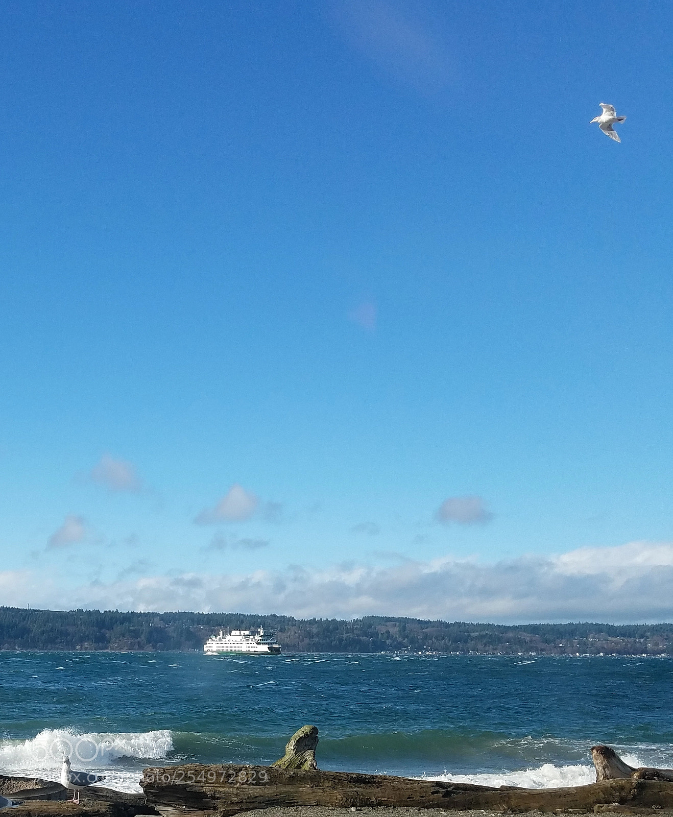 Samsung Galaxy S7 sample photo. Ferry from mukilteo lighthouse photography