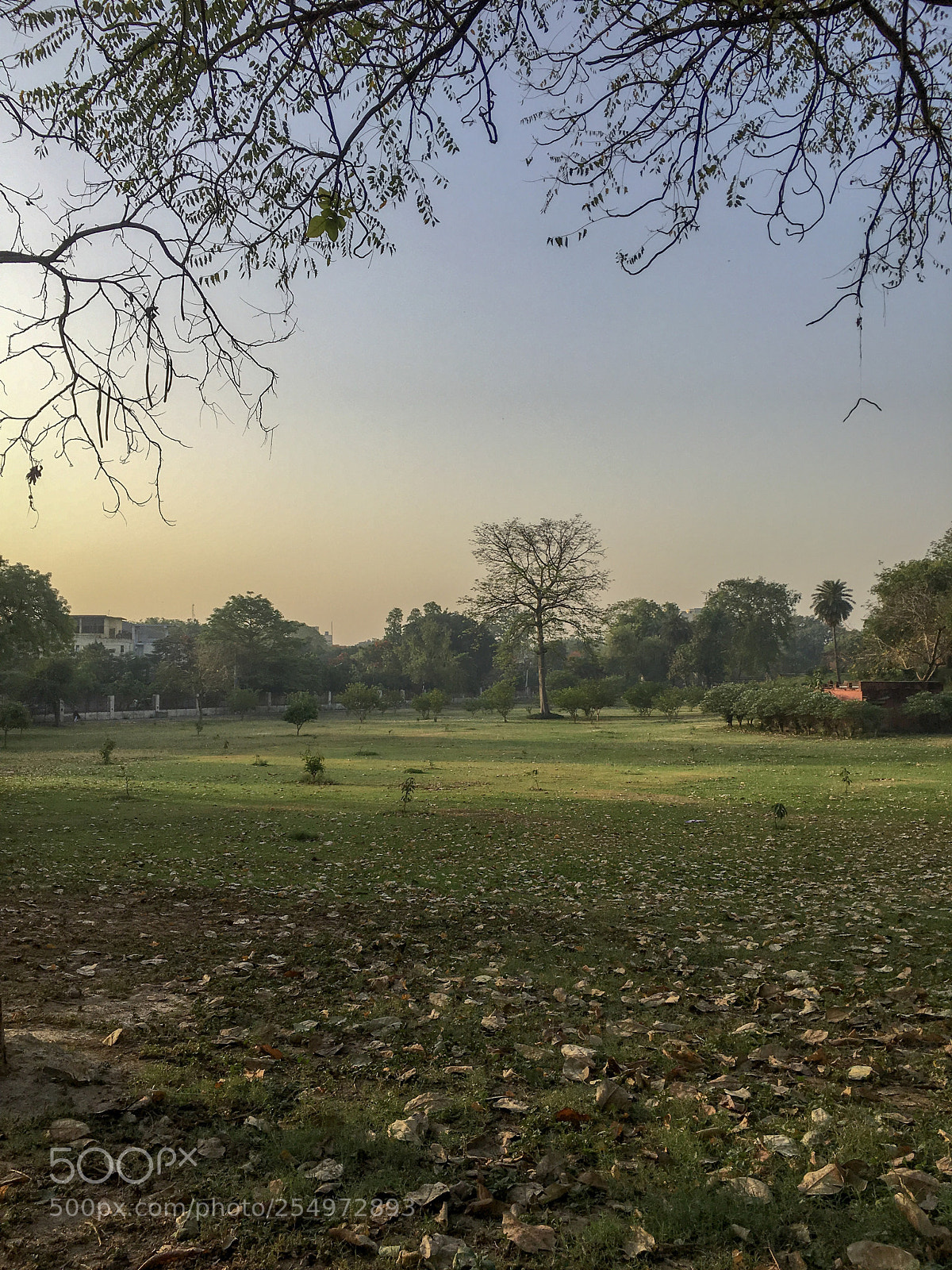 Apple iPhone 6s Plus sample photo. Awadh photography