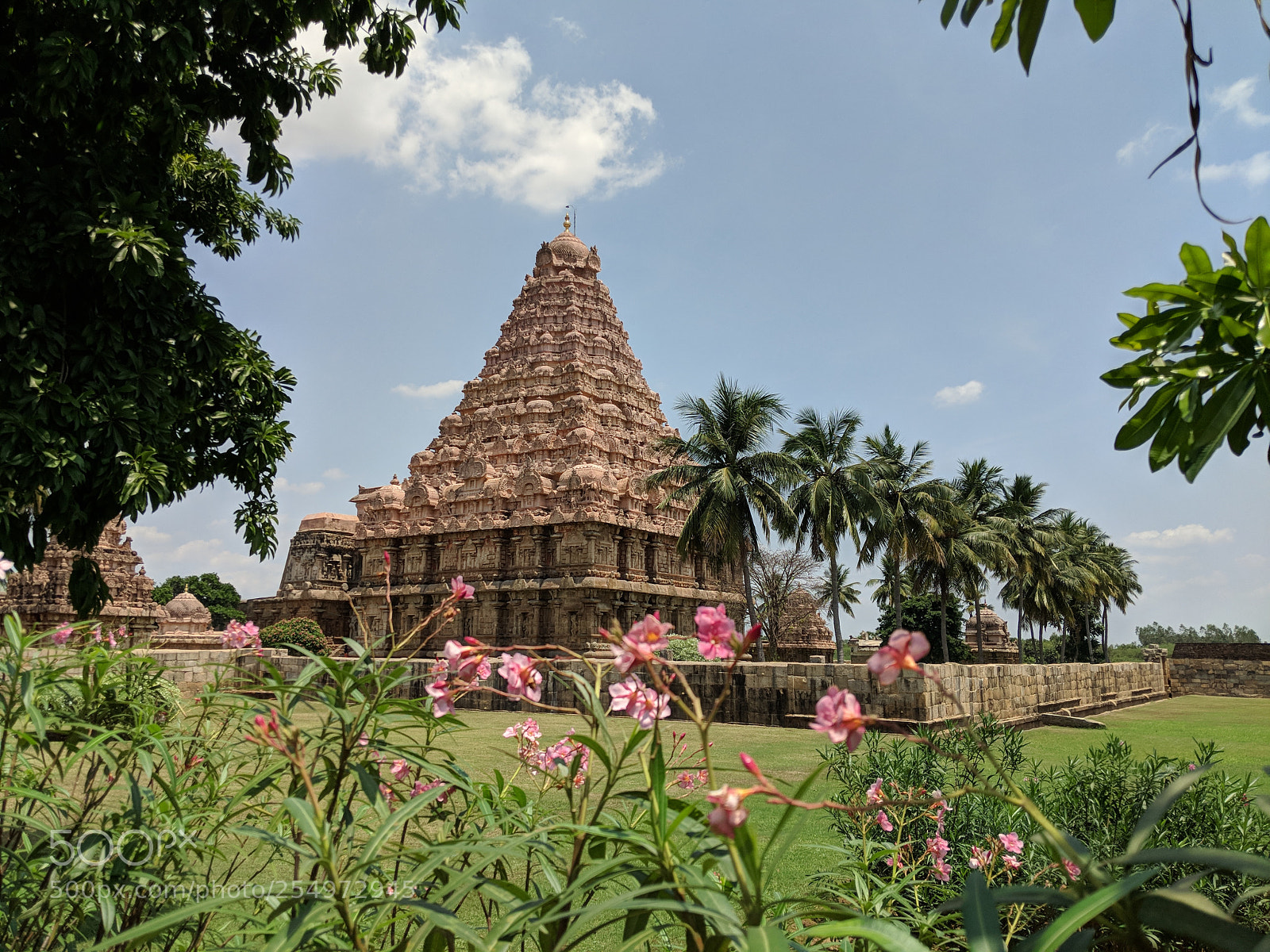Google Pixel 2 sample photo. Untitled photography