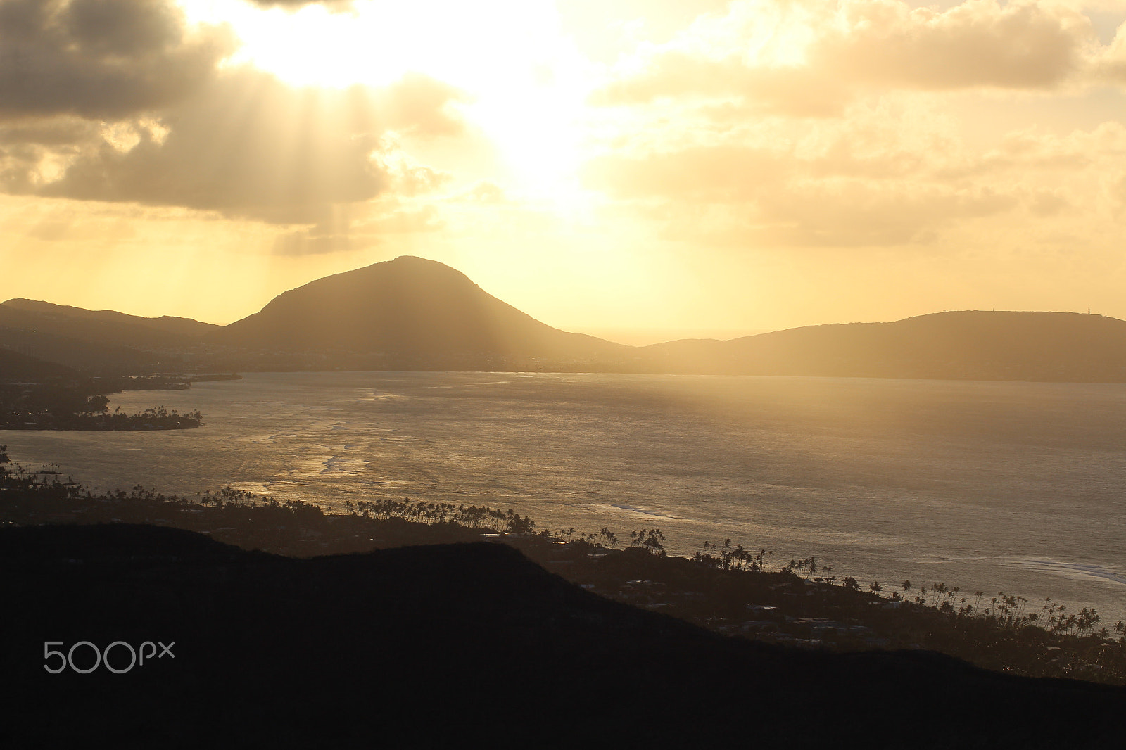 Canon EOS 700D (EOS Rebel T5i / EOS Kiss X7i) sample photo. Good morning. photography