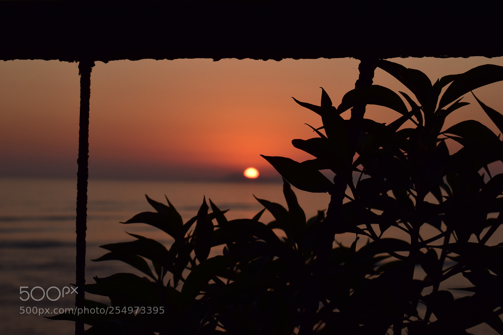 Nikon D3300 sample photo. Untitled photography
