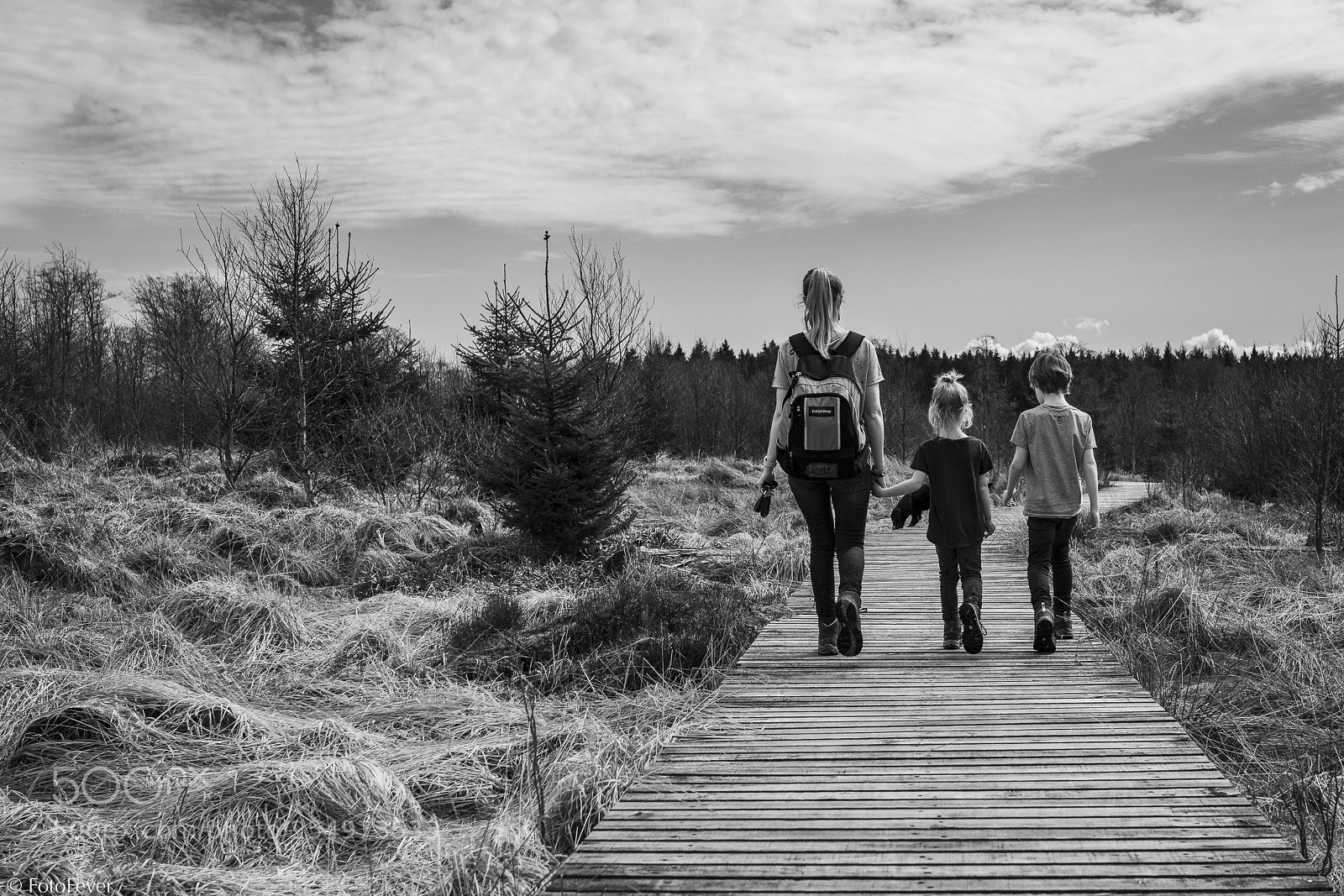 Sony a7R III sample photo. Walking in the swamps photography