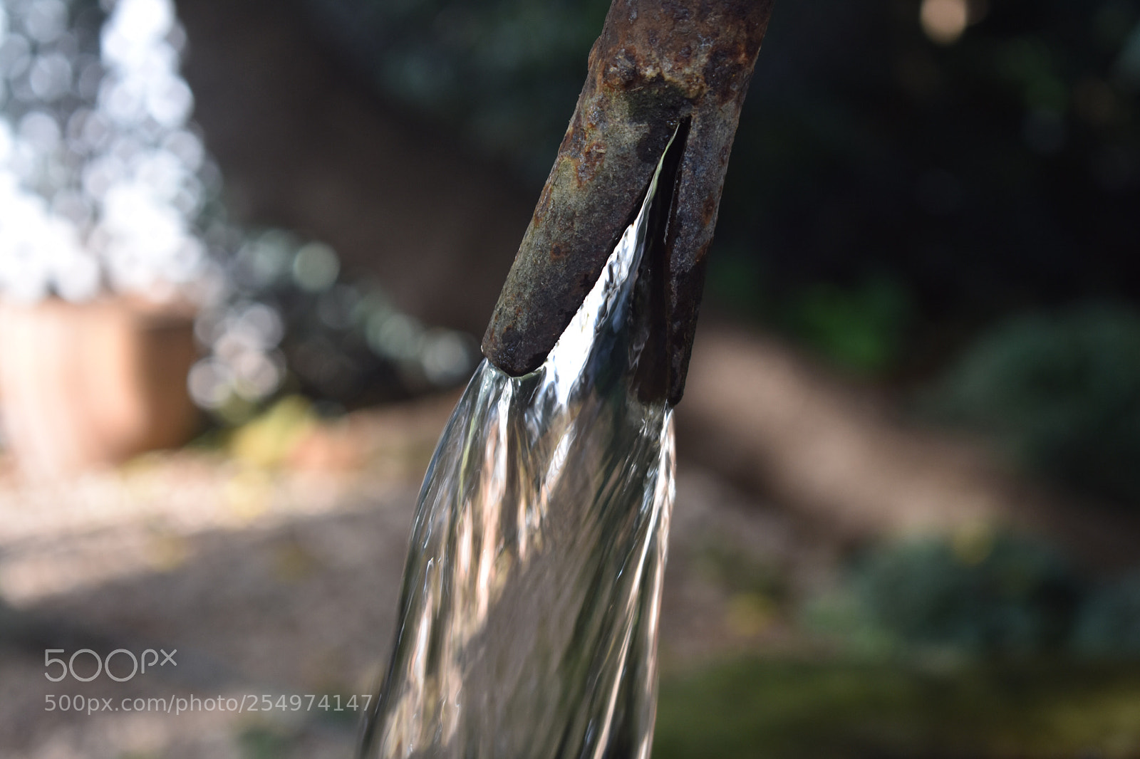 Nikon D3400 sample photo. The fountain of life photography