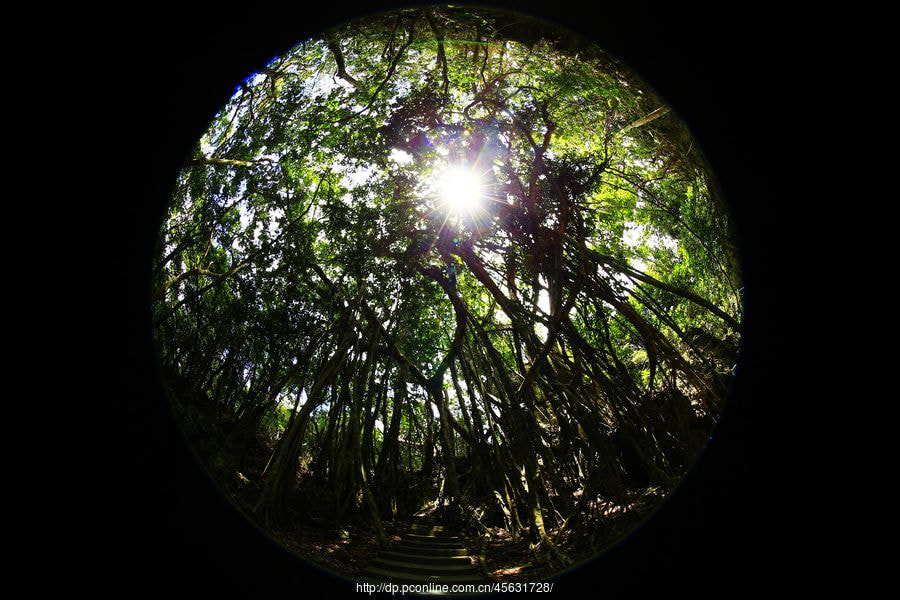 Canon EOS-1D X + Canon EF 8-15mm F4L Fisheye USM sample photo. Mthumb photography