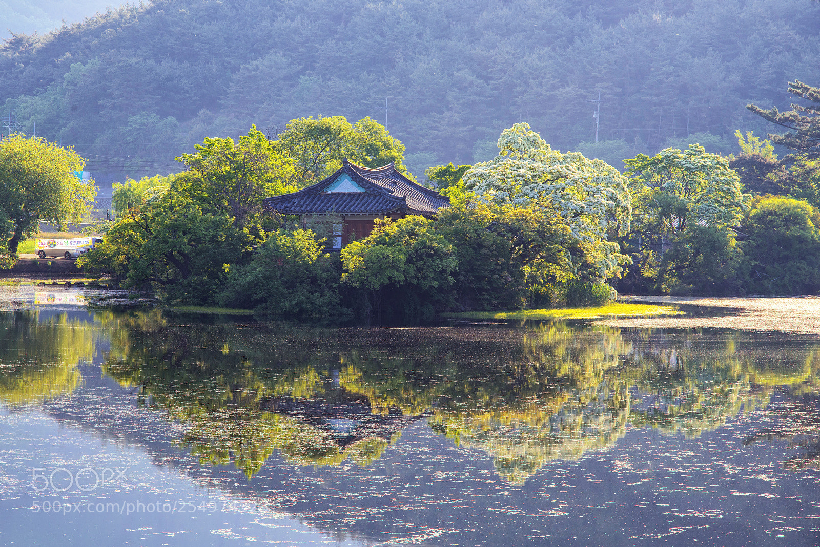 Nikon D810 sample photo. Spring of the lake photography