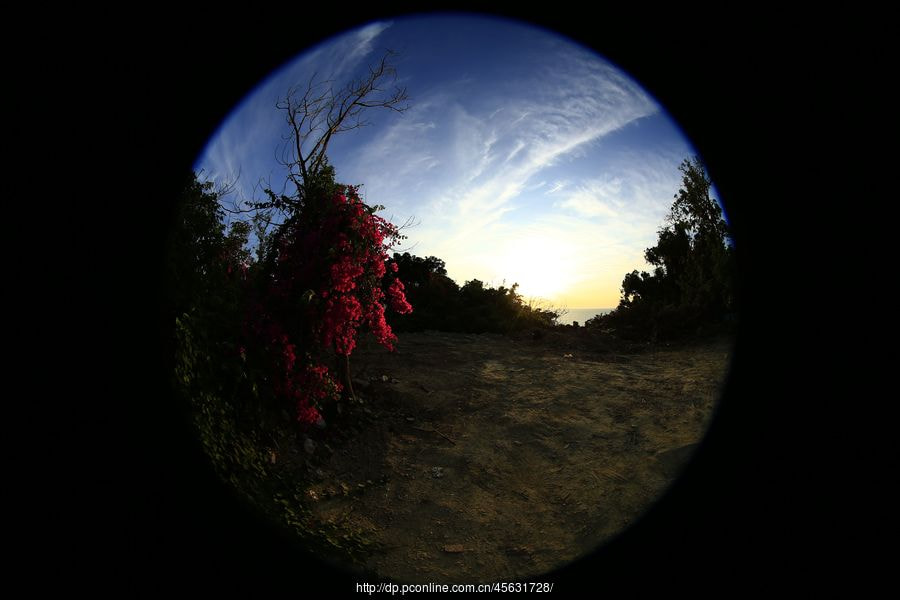 Canon EF 8-15mm F4L Fisheye USM sample photo. Mthumb photography