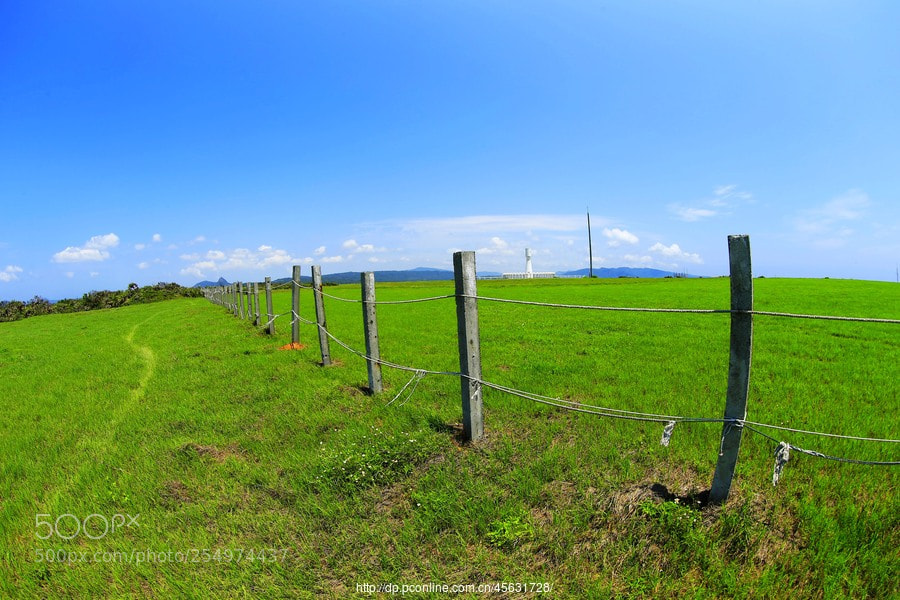 Canon EOS-1D X sample photo. Untitled photography