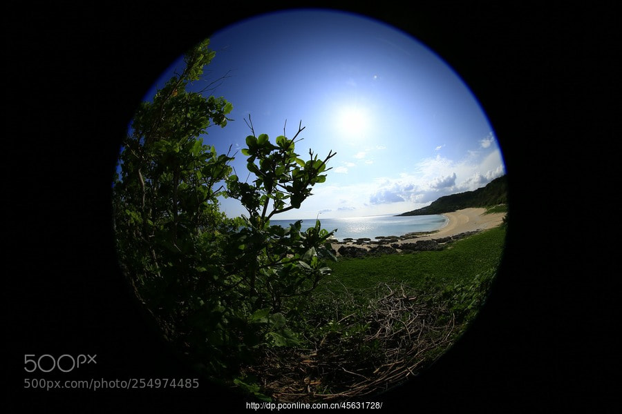 Canon EOS-1D X sample photo. Untitled photography