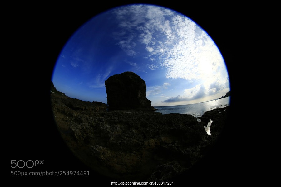 Canon EOS-1D X sample photo. Untitled photography