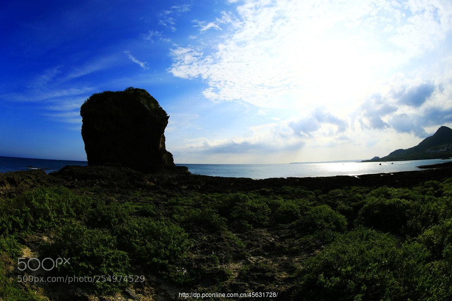 Canon EOS-1D X sample photo. Untitled photography
