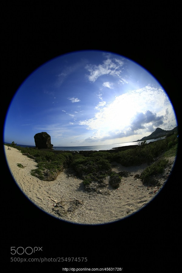 Canon EOS-1D X sample photo. Untitled photography