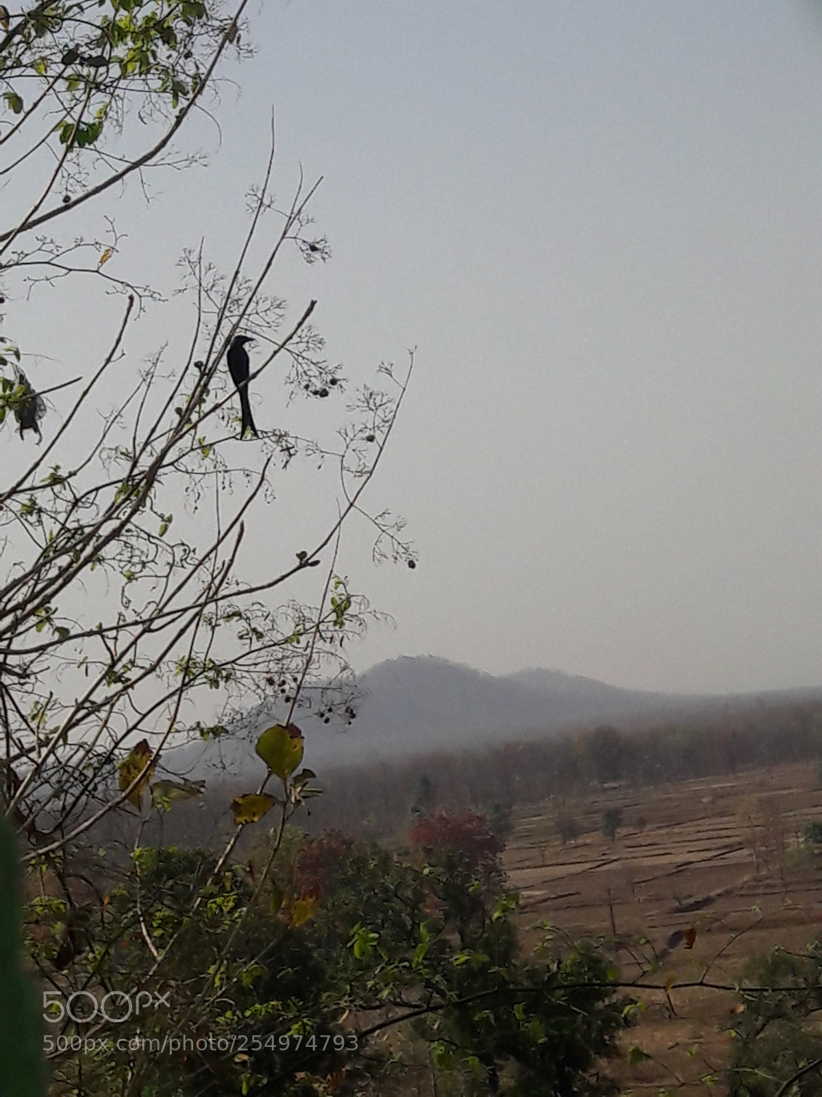 Samsung Galaxy J7 sample photo. Untitled photography