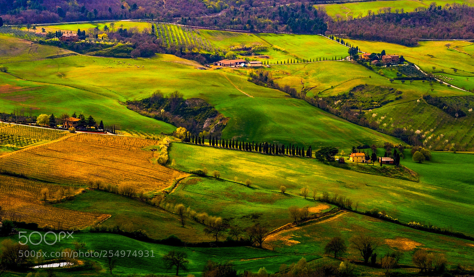 Nikon D7000 sample photo. Valdorcia photography