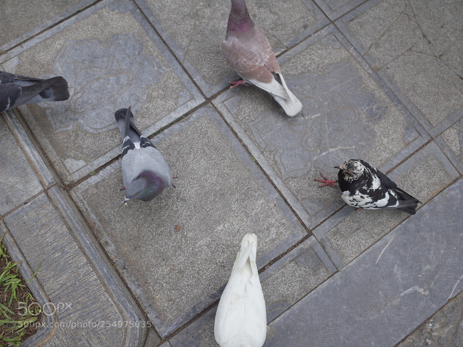 Ricoh GR II sample photo. Untitled photography