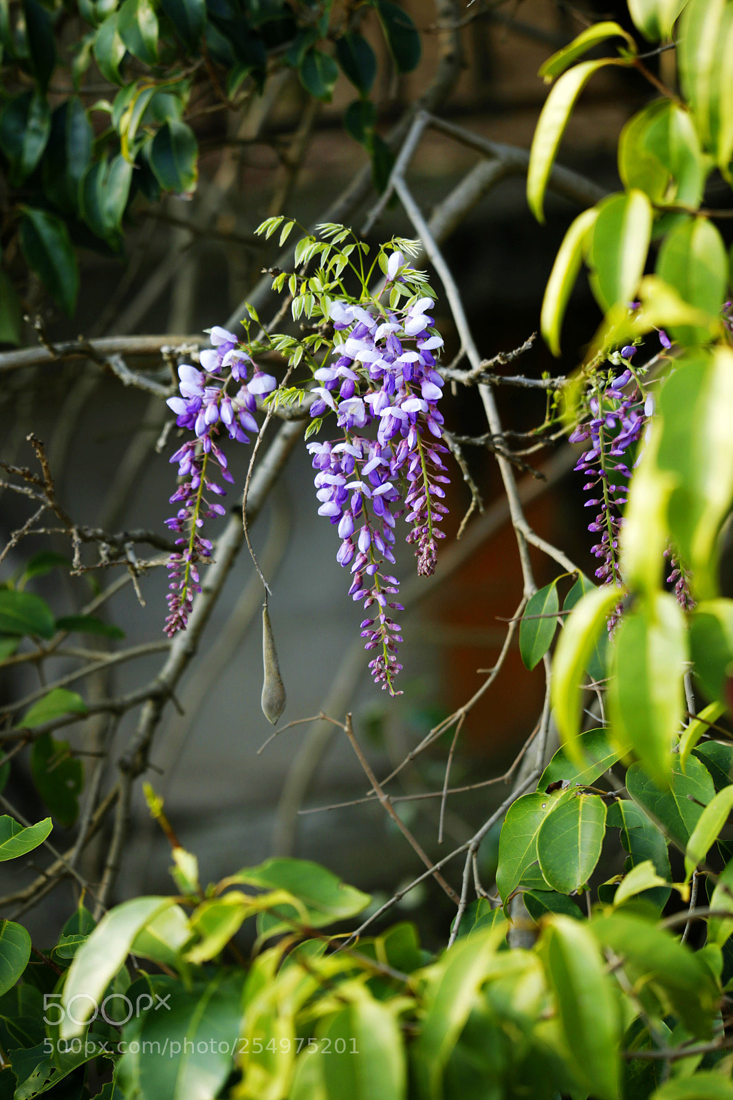 Canon EOS-1D X sample photo. Untitled photography