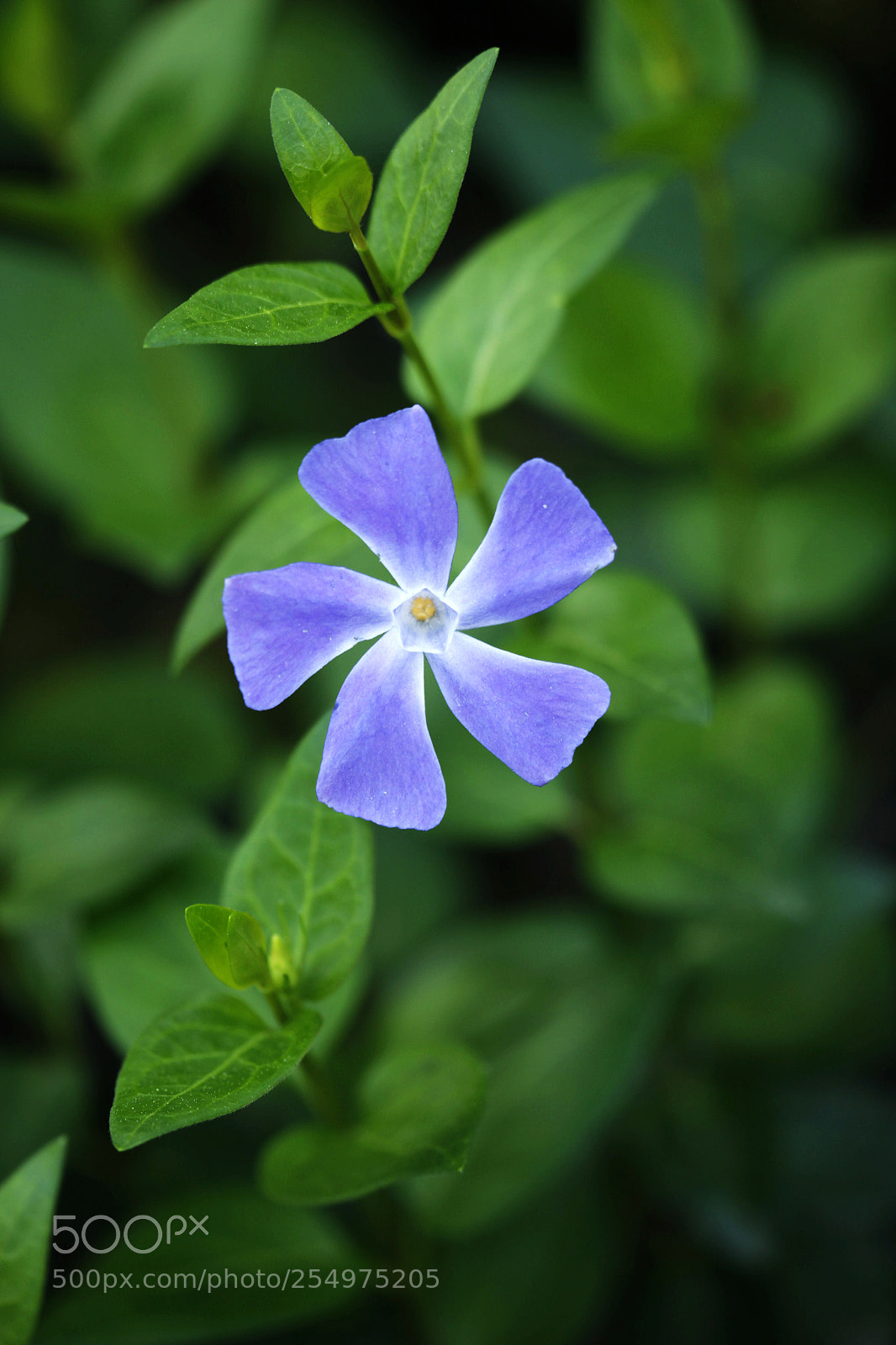 Canon EOS-1D X sample photo. Untitled photography