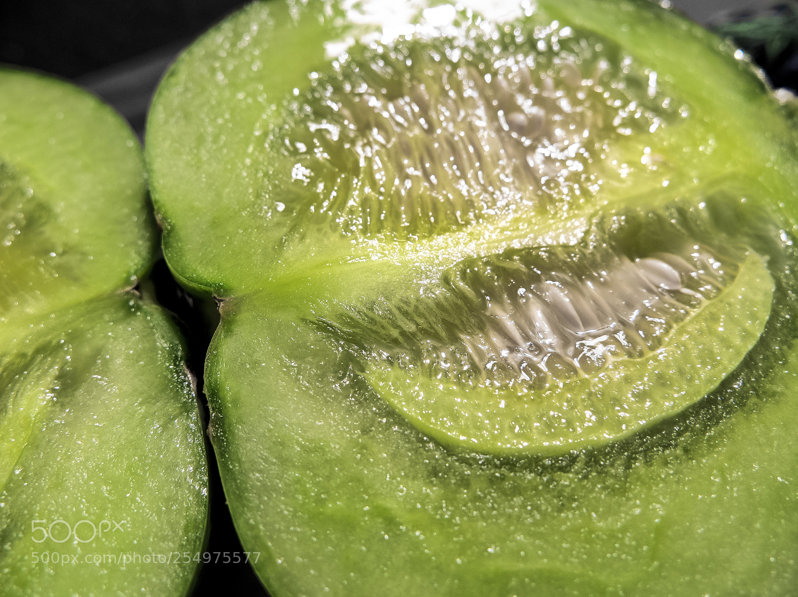 Fujifilm X10 sample photo. Cucumis melo 脆宝香瓜 photography