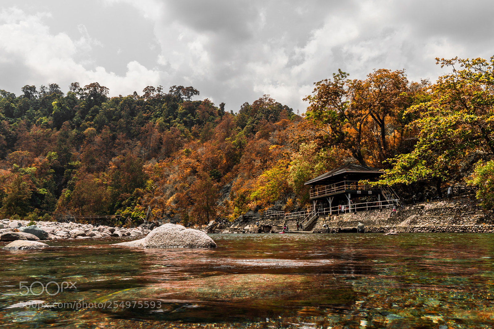 Canon EOS 80D sample photo. Foliage photography