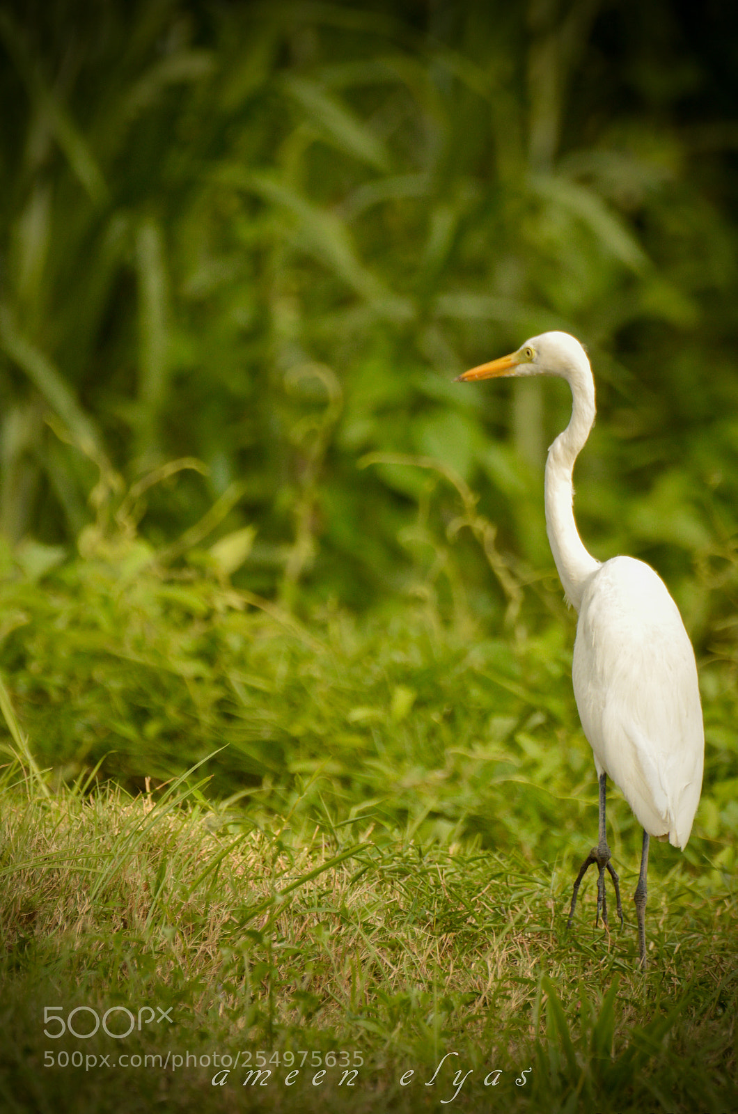 Nikon D3200 sample photo. Far away photography