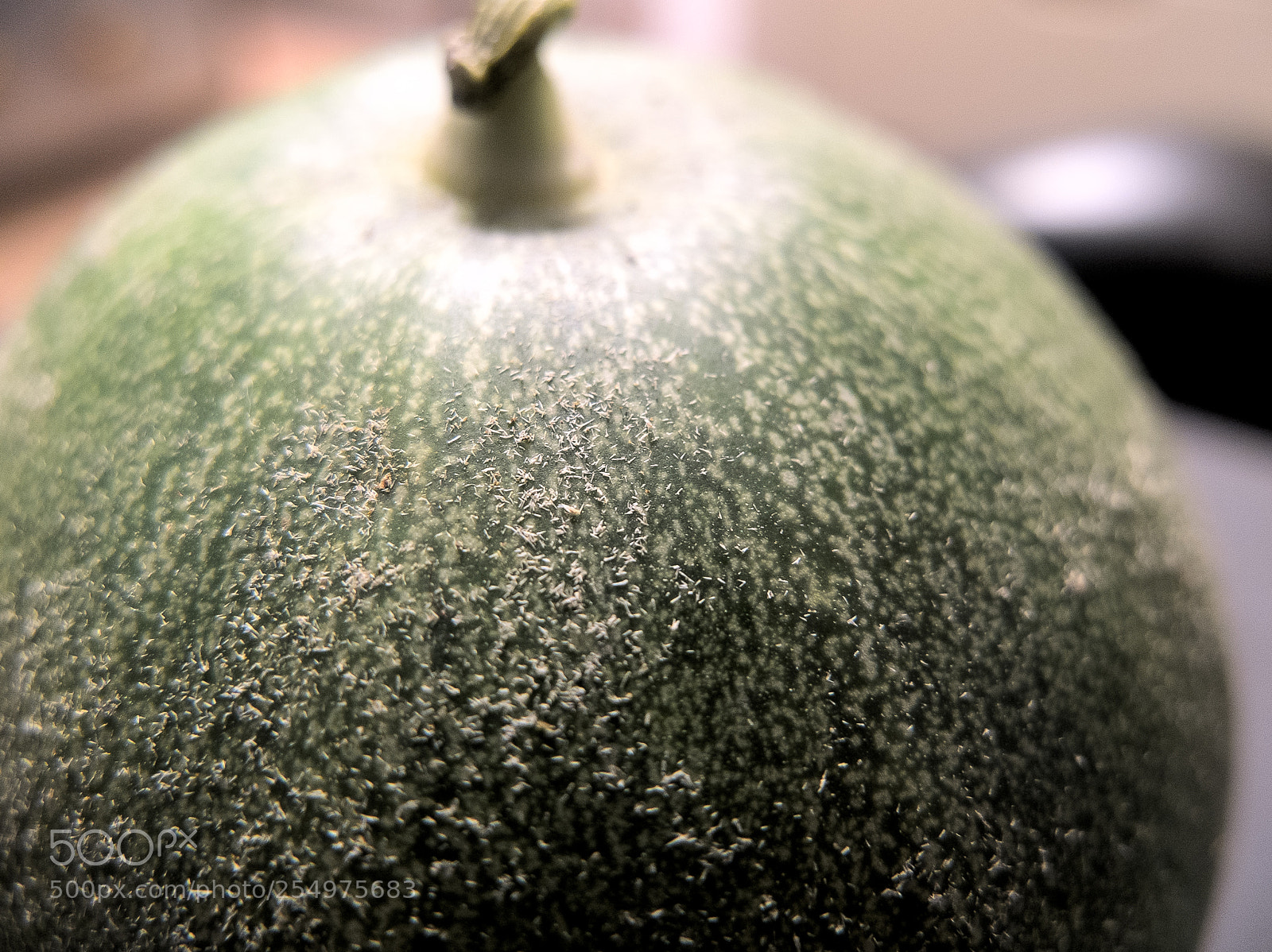 Fujifilm X10 sample photo. Cucumis melo 脆宝香瓜 photography